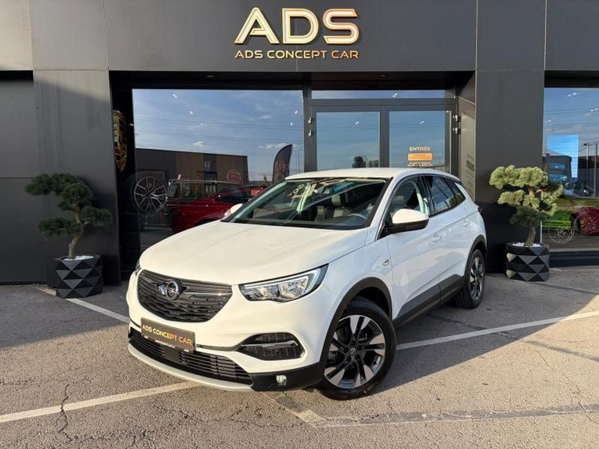 Opel Grandland X Business INNOVATION 1.5 130ch (2019) - Foto 2