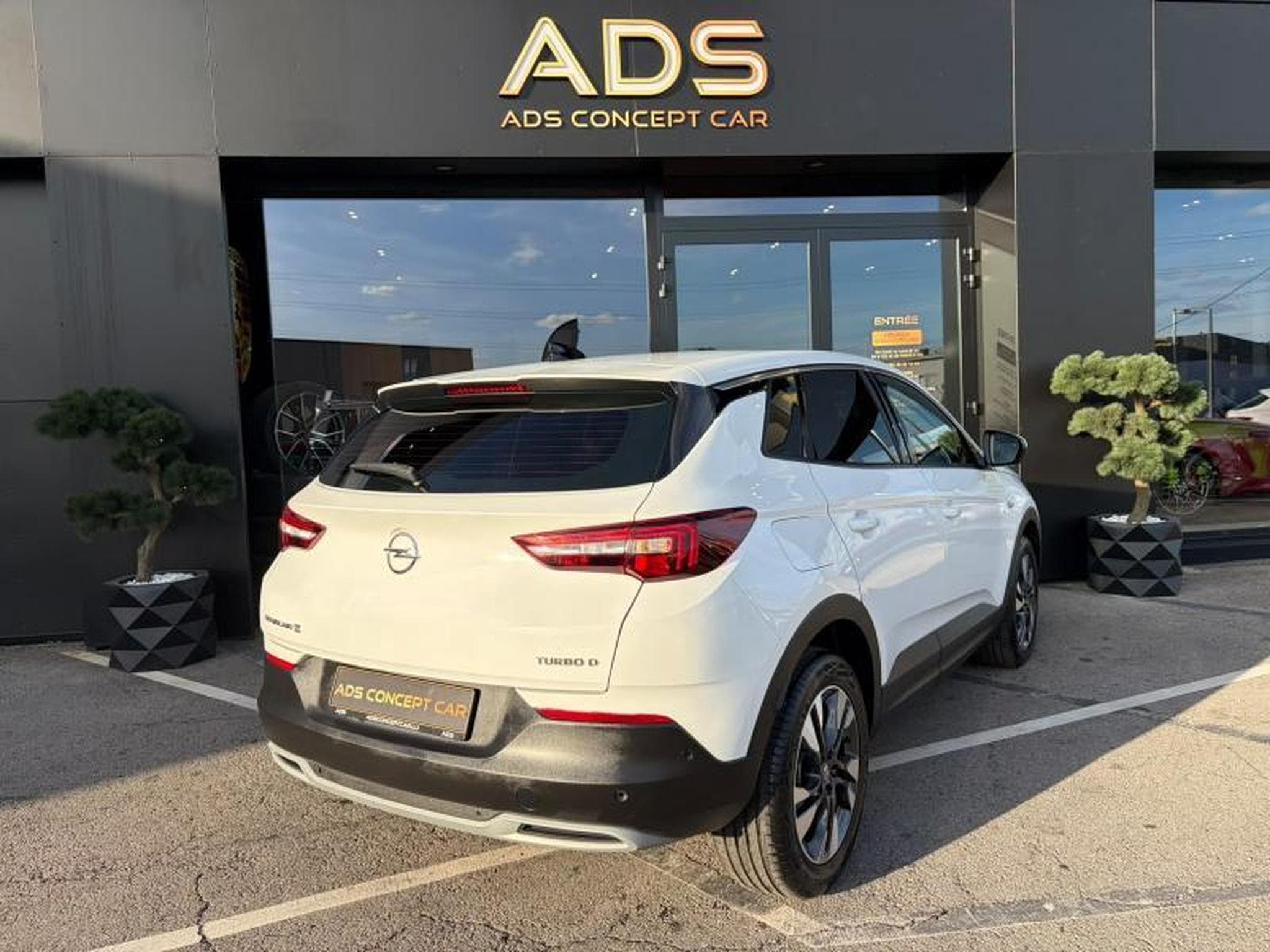 Opel Grandland X Business INNOVATION 1.5 130ch (2019) - Foto 4