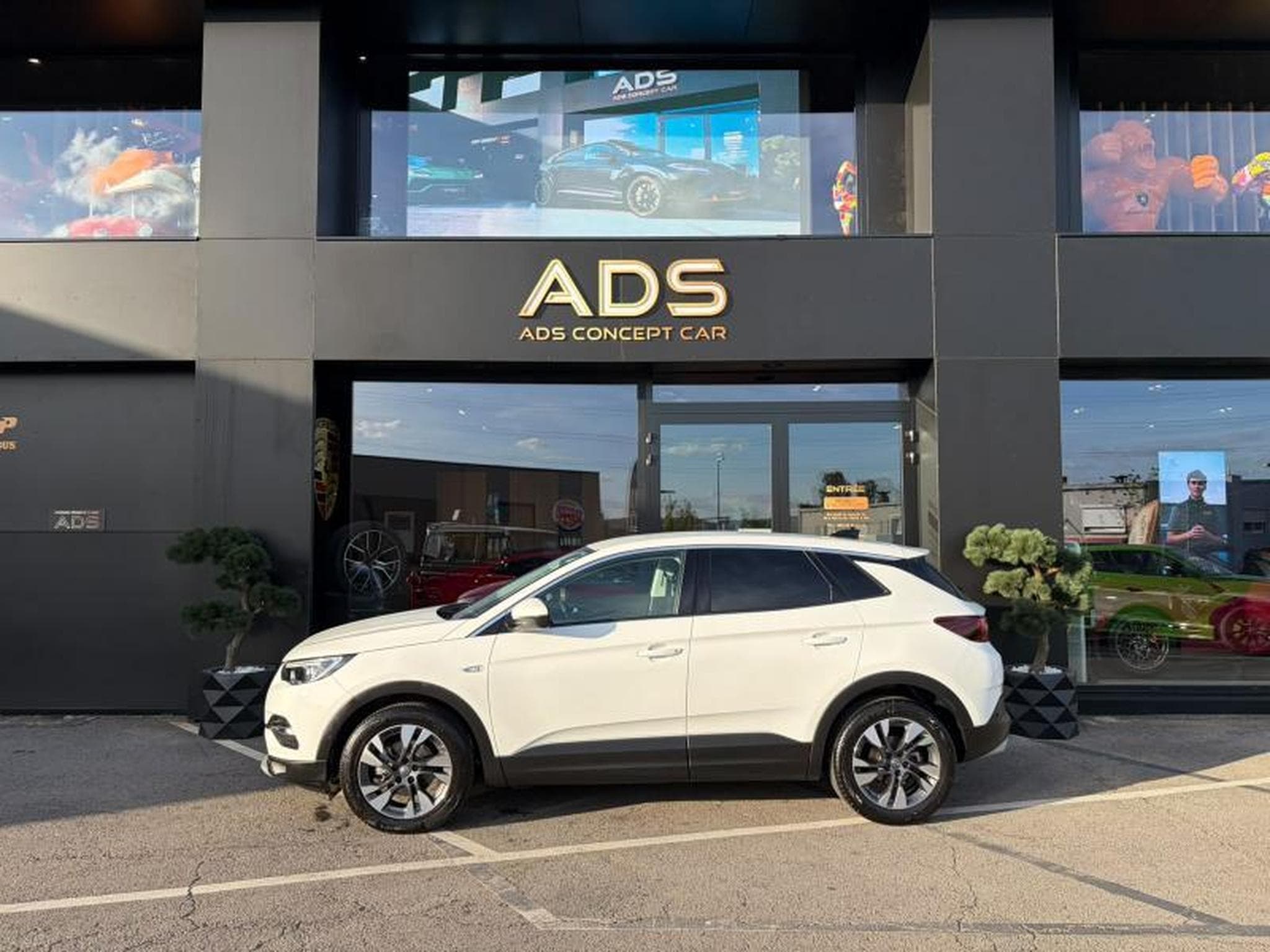 Opel Grandland X Business INNOVATION 1.5 130ch (2019) - Foto 19