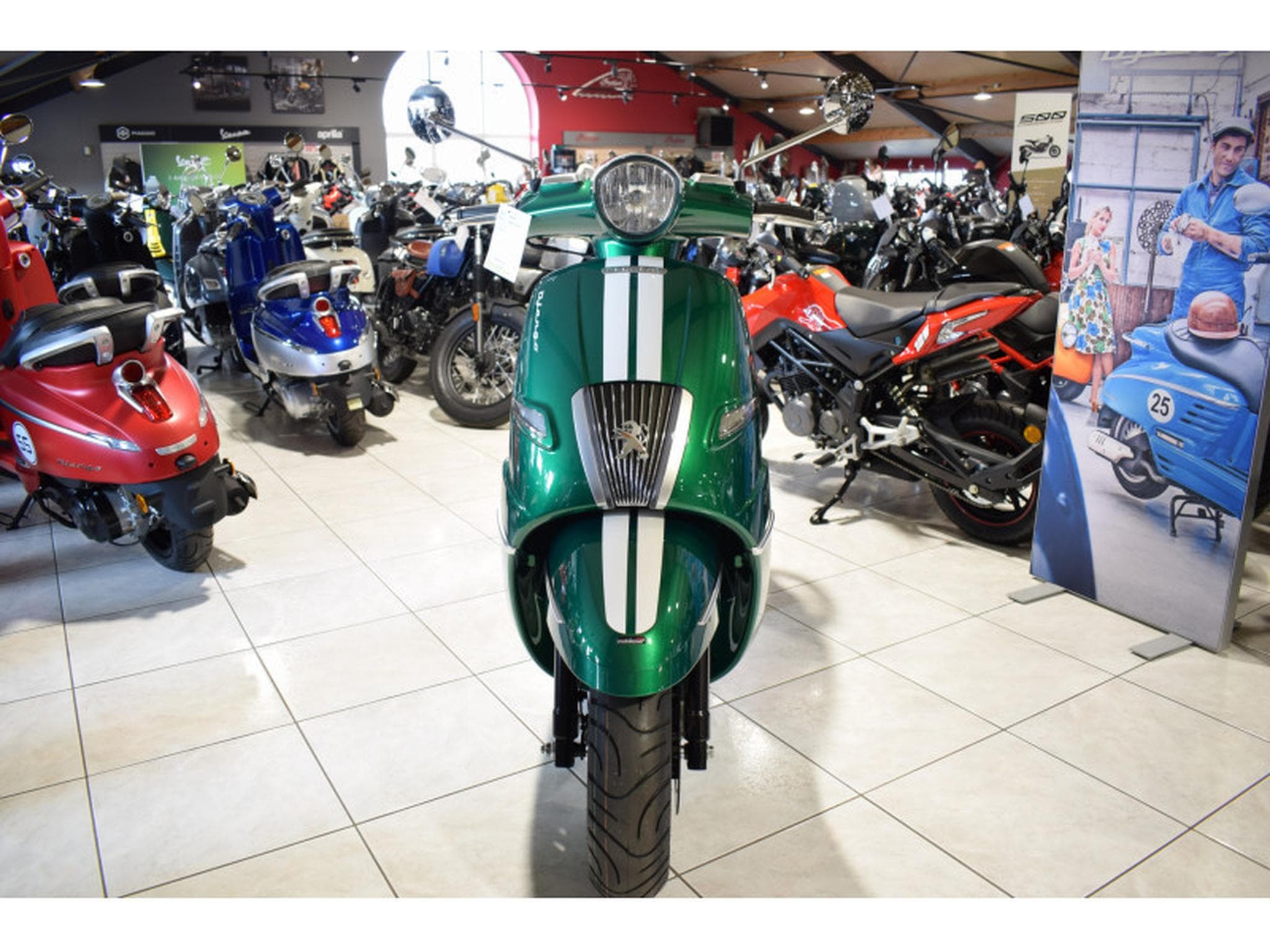 Peugeot Django E5 VERT (2025) - Foto 2