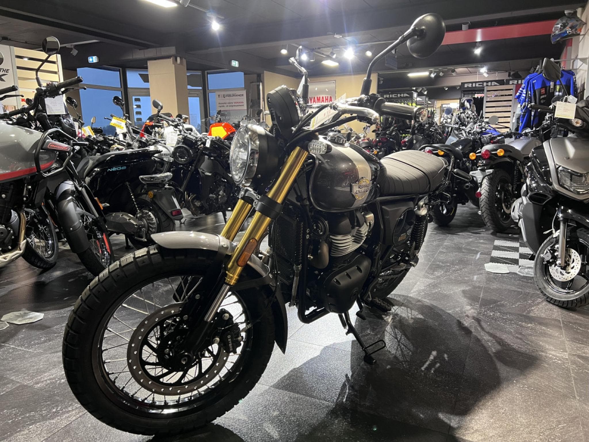 Royal Enfield Bear 650 Golden Shadow (2025) - Photo 2