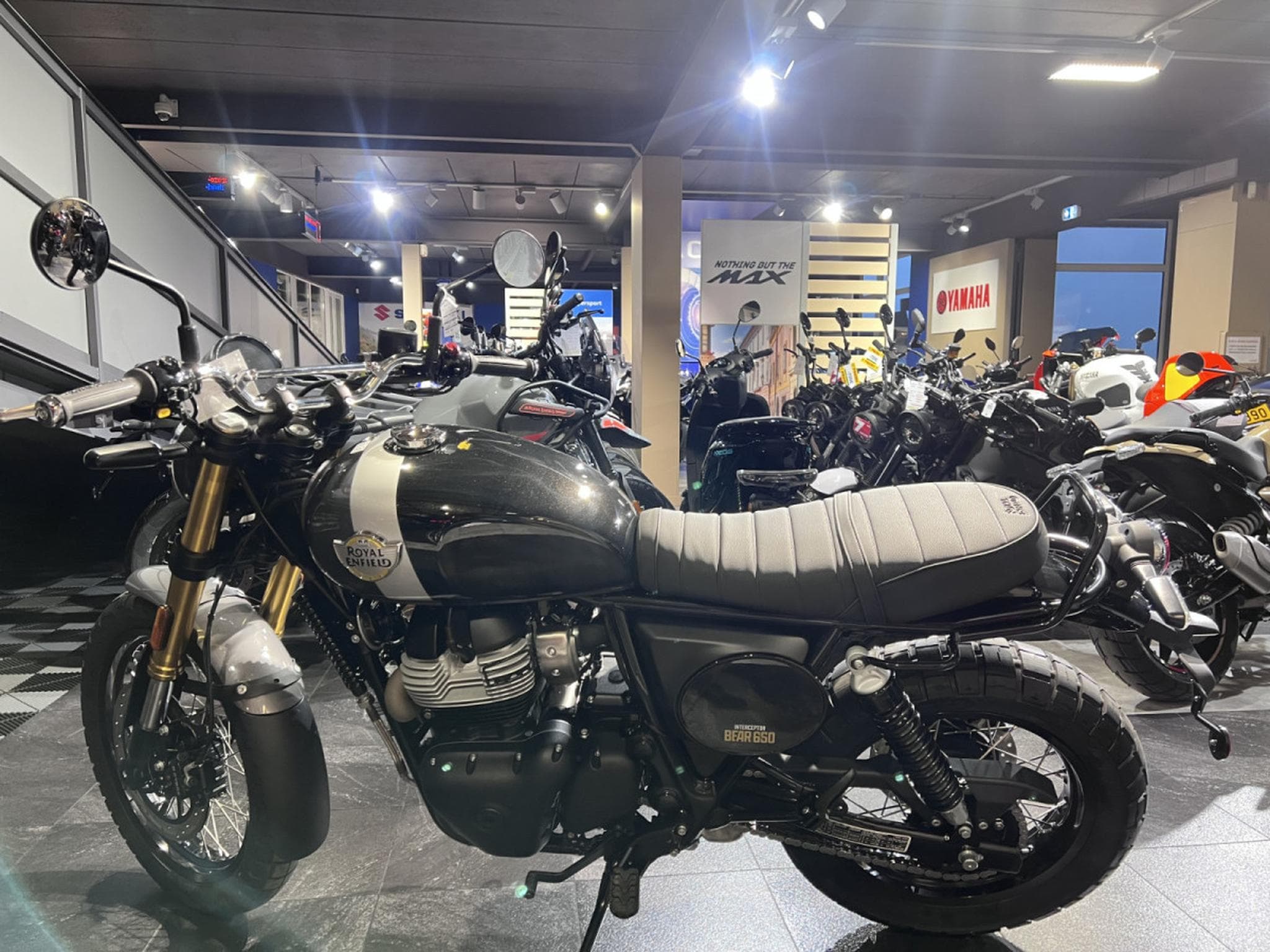 Royal Enfield Bear 650 Golden Shadow (2025) - Photo 4