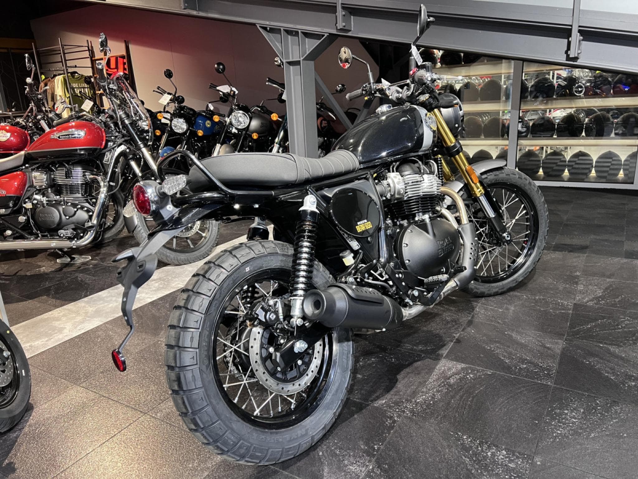 Royal Enfield Bear 650 Golden Shadow (2025) - Photo 3