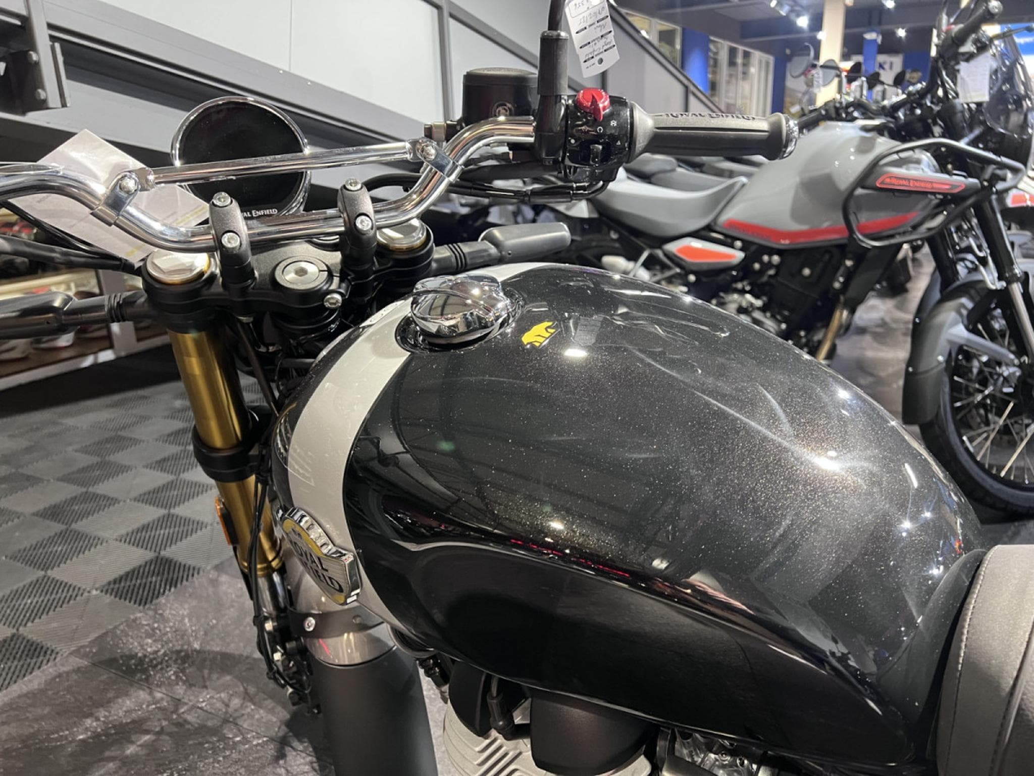 Royal Enfield Bear 650 Golden Shadow (2025) - Photo 6