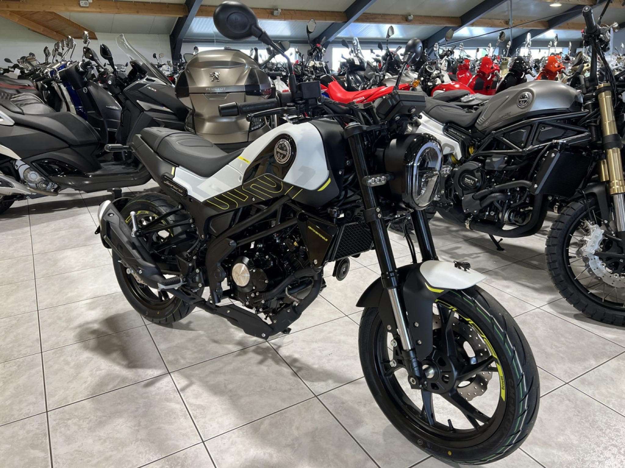Benelli Leoncino 125 (2026) - Photo 6