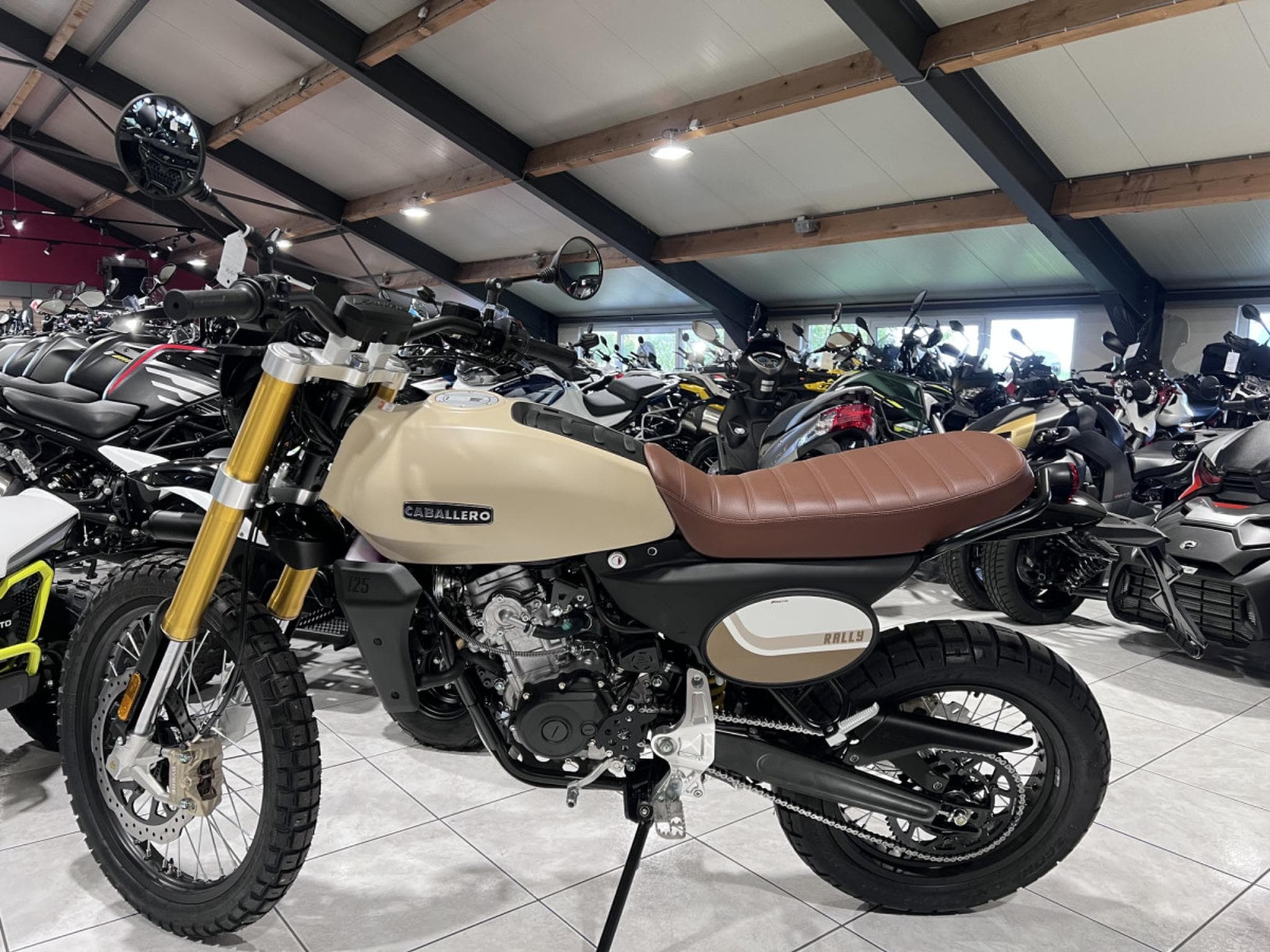 Fantic Caballero RALLY (2026) - Photo 4