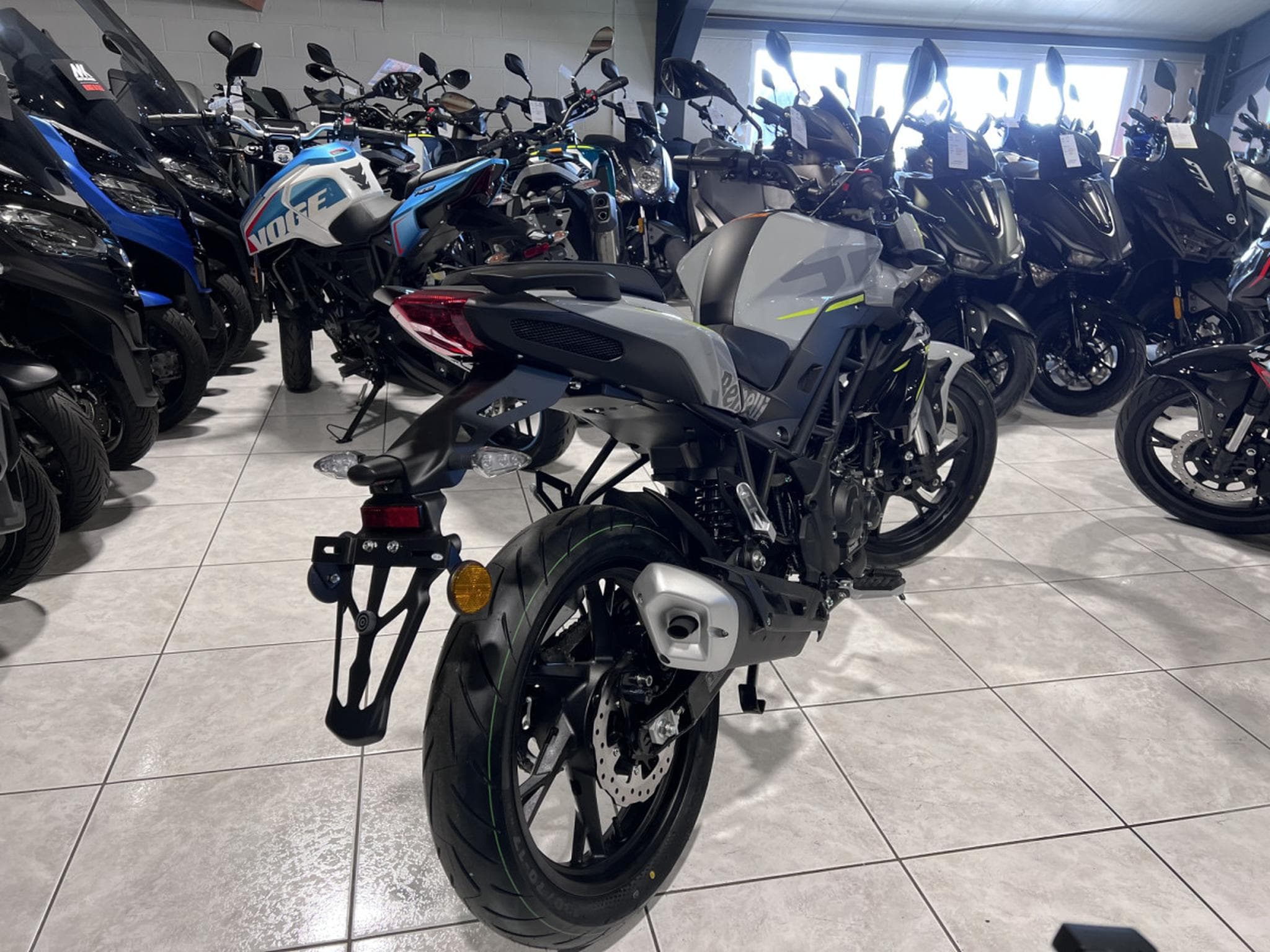 Benelli BN GRIS (2026) - Photo 3