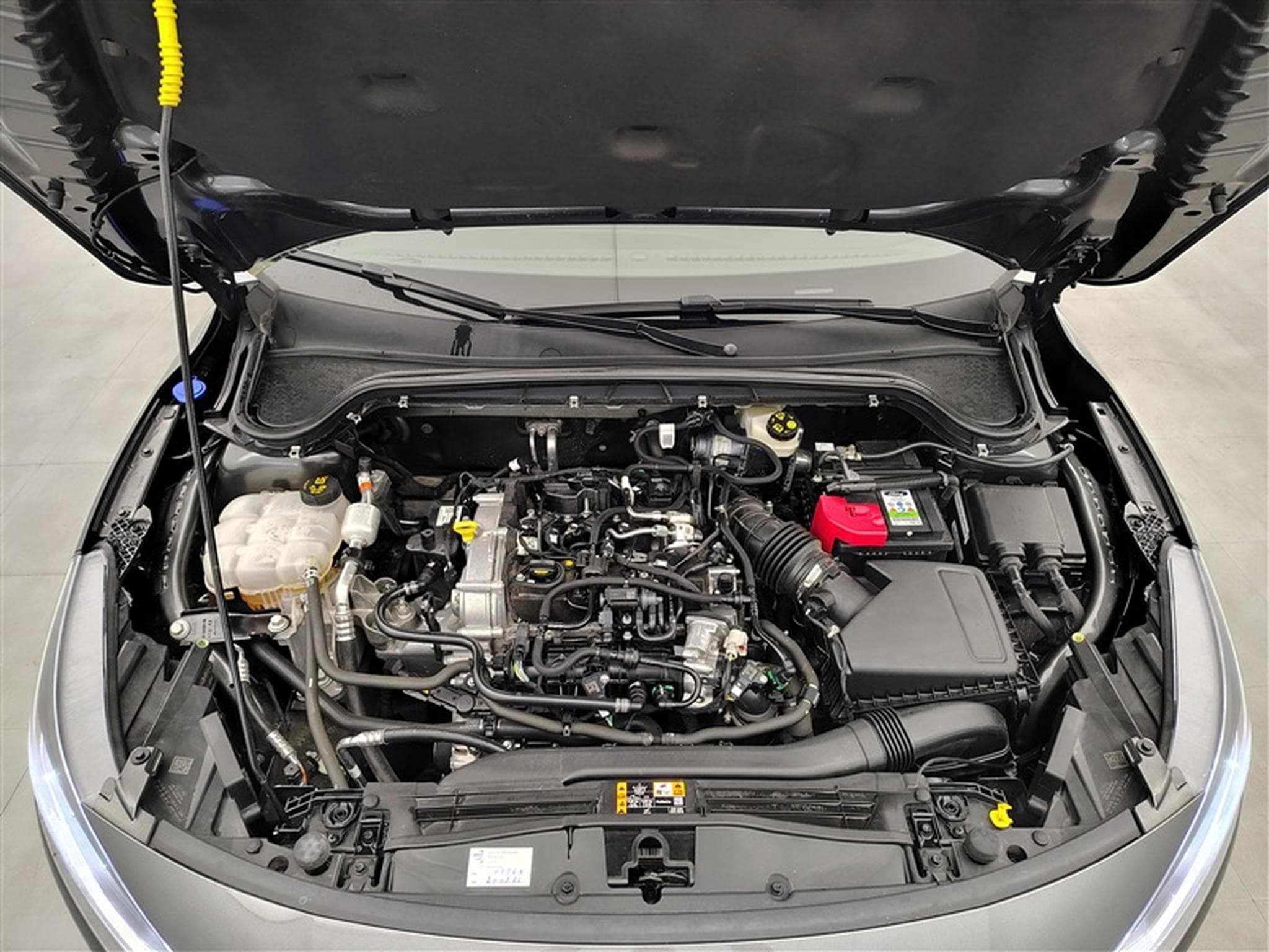 Ford Focus 1.0 EcoBoost 155Cv Titanium Navi / Led / PDC (2024) - Photo 19