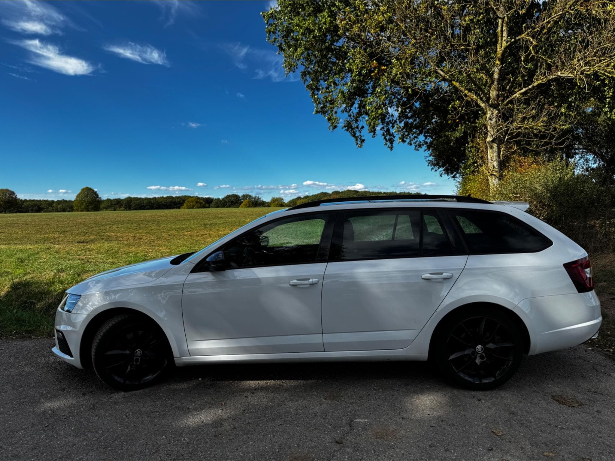 Skoda Octavia RS (2018) - Photo 6