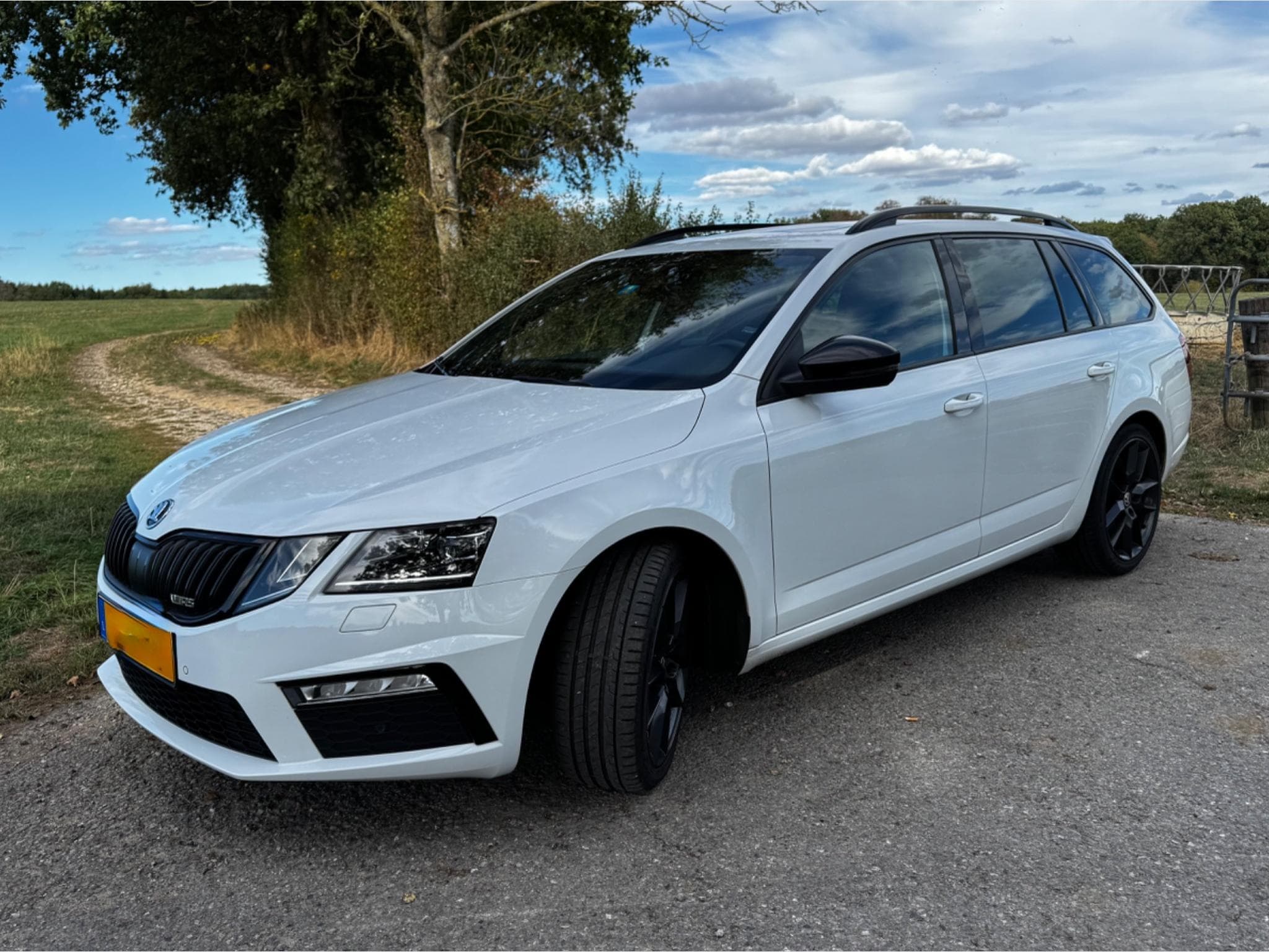 Skoda Octavia RS (2018) - Photo 7