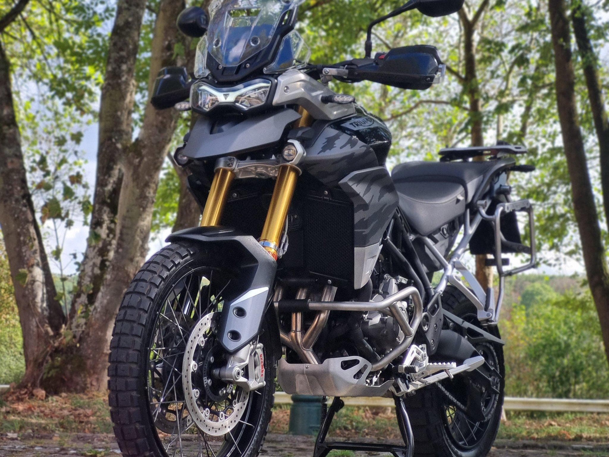 Triumph Tiger 900 Rally Pro (2020) - Foto 1