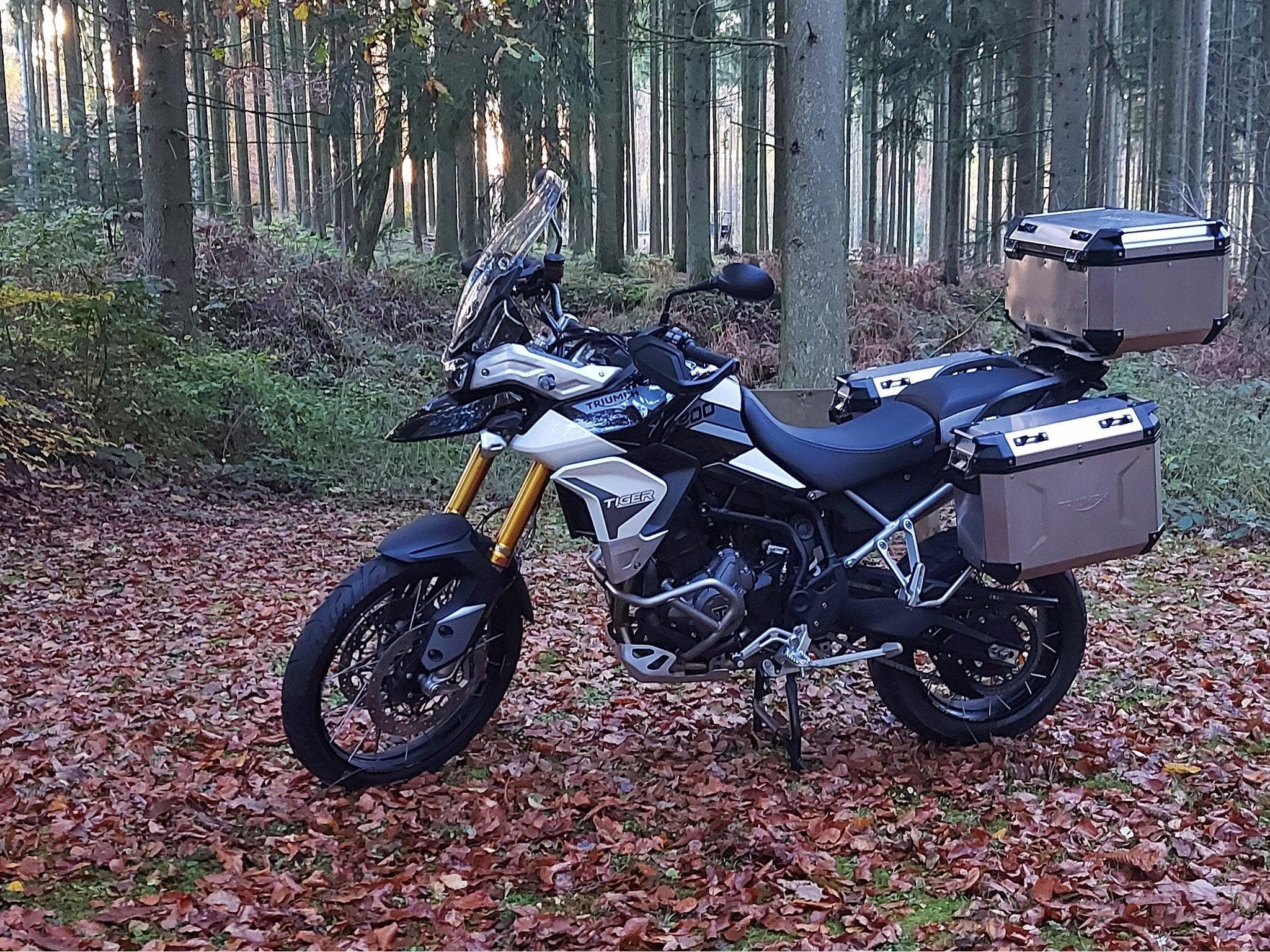 Triumph Tiger 900 Rally Pro (2020) - Foto 15