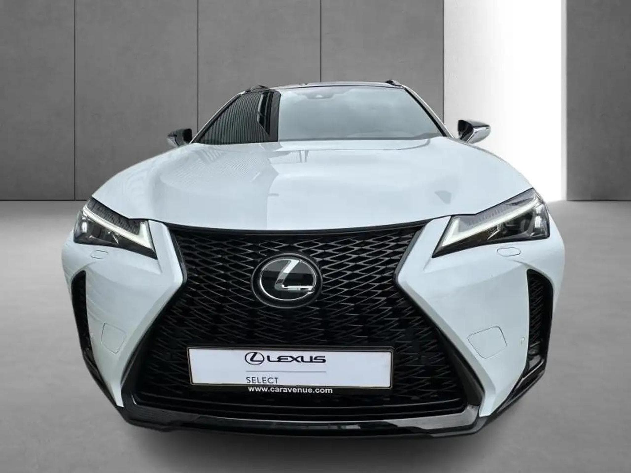 Lexus UX (2023) - Photo 5