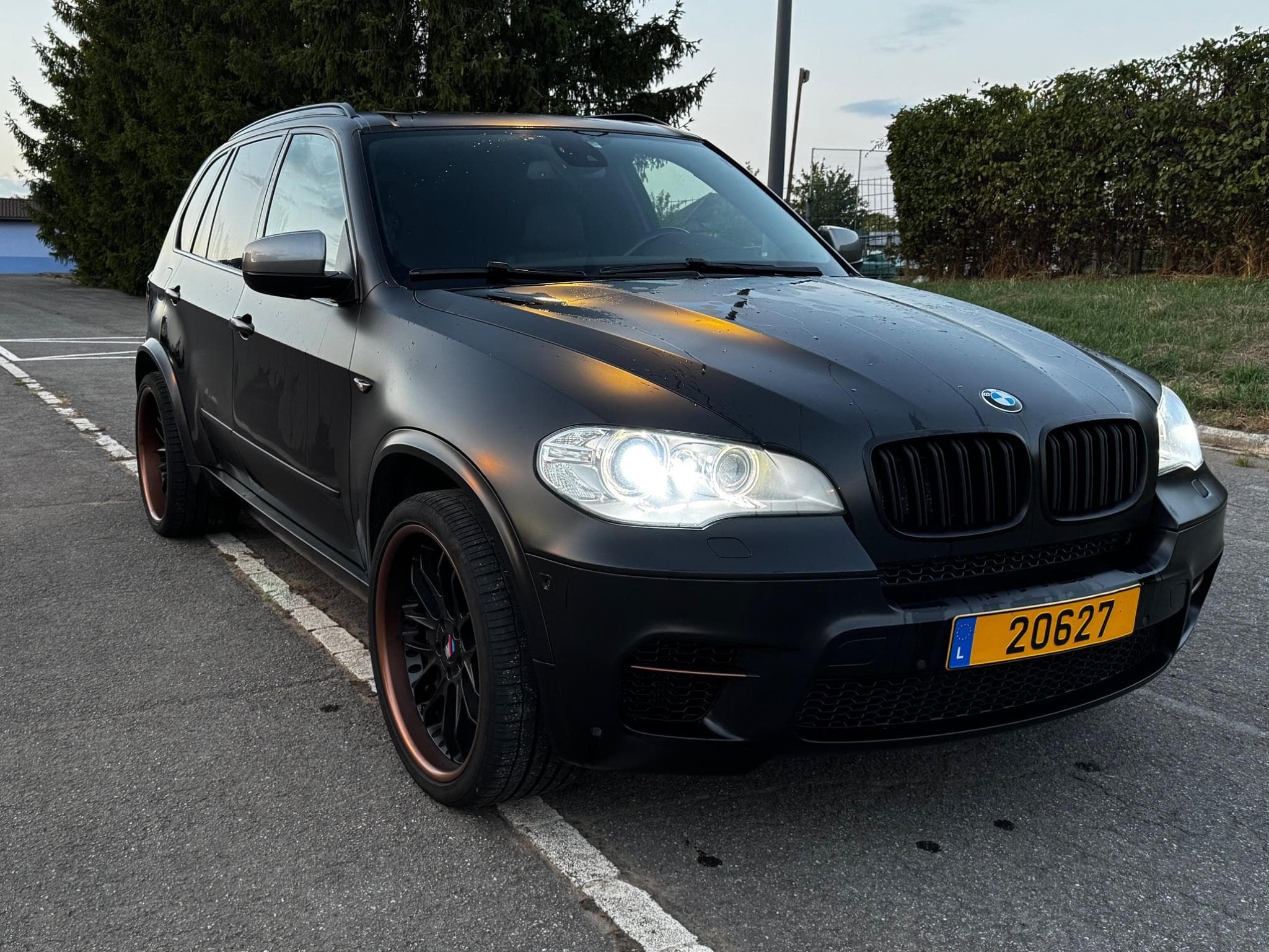 BMW X5M M50d (2013) - Photo 10