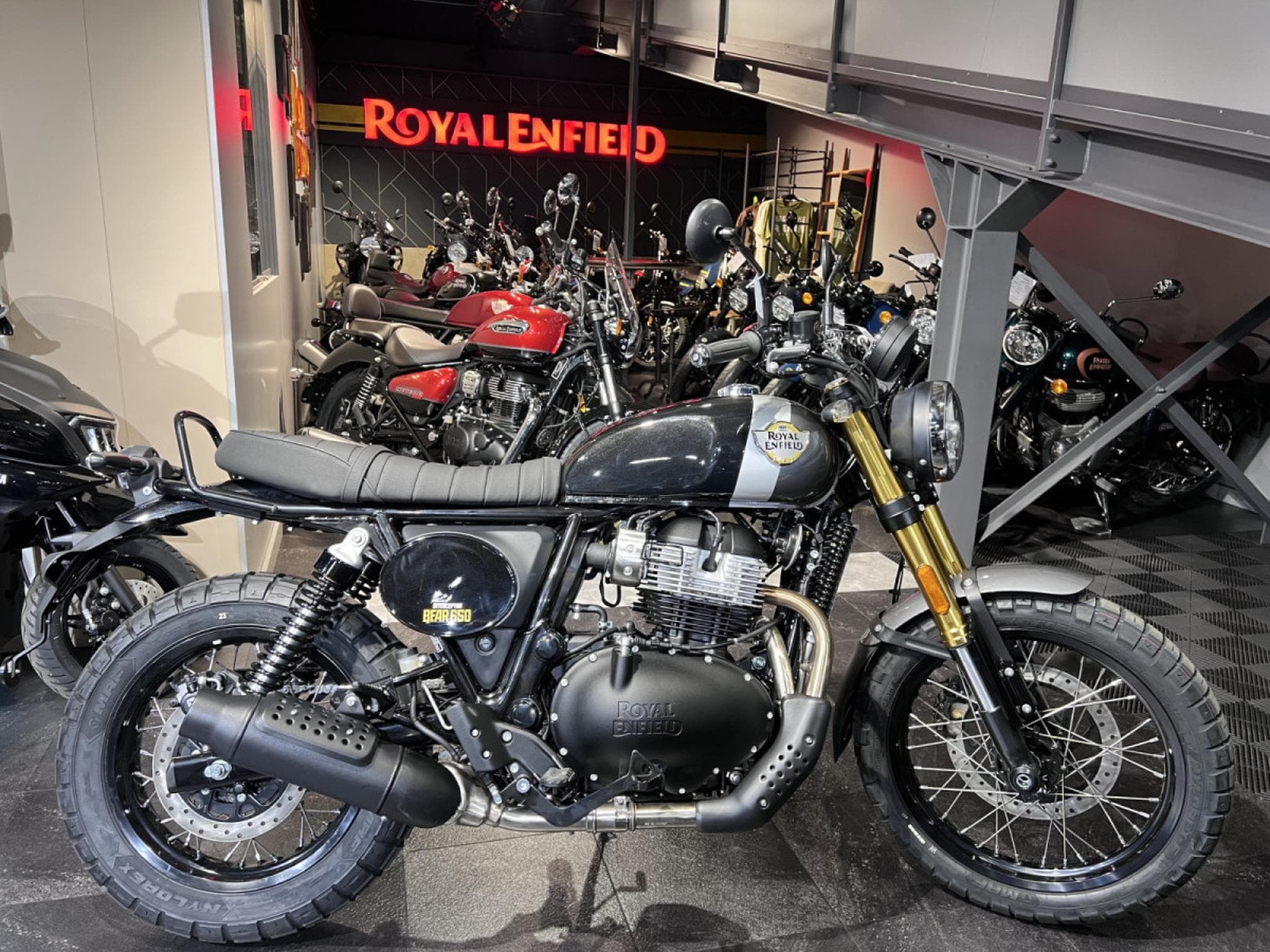 Royal Enfield Bear 650 Golden Shadow (2025) - Photo 1
