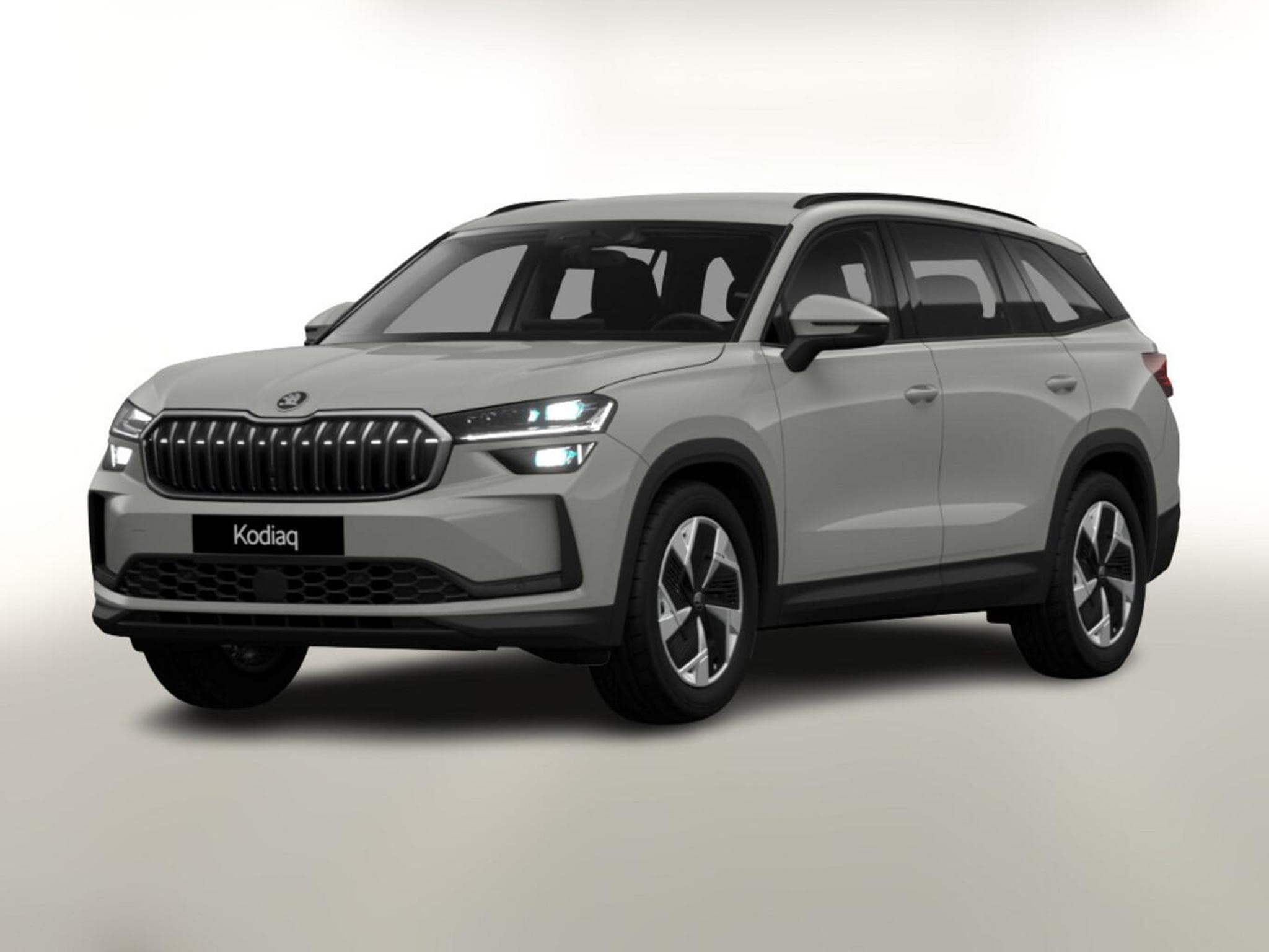 Skoda Kodiaq Selection (2026) - Photo 1