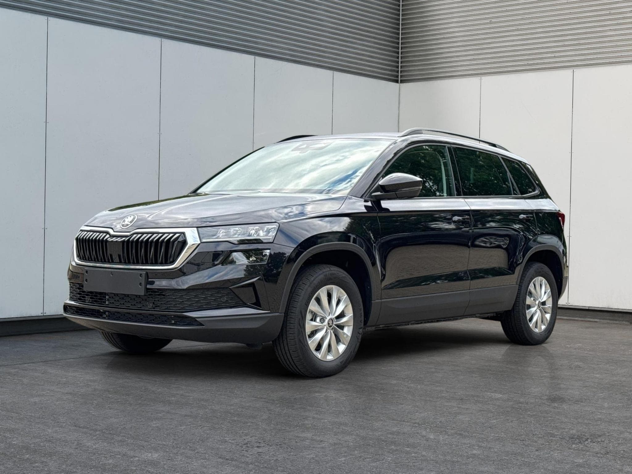 Skoda Karoq Selection (2026) - Photo 1