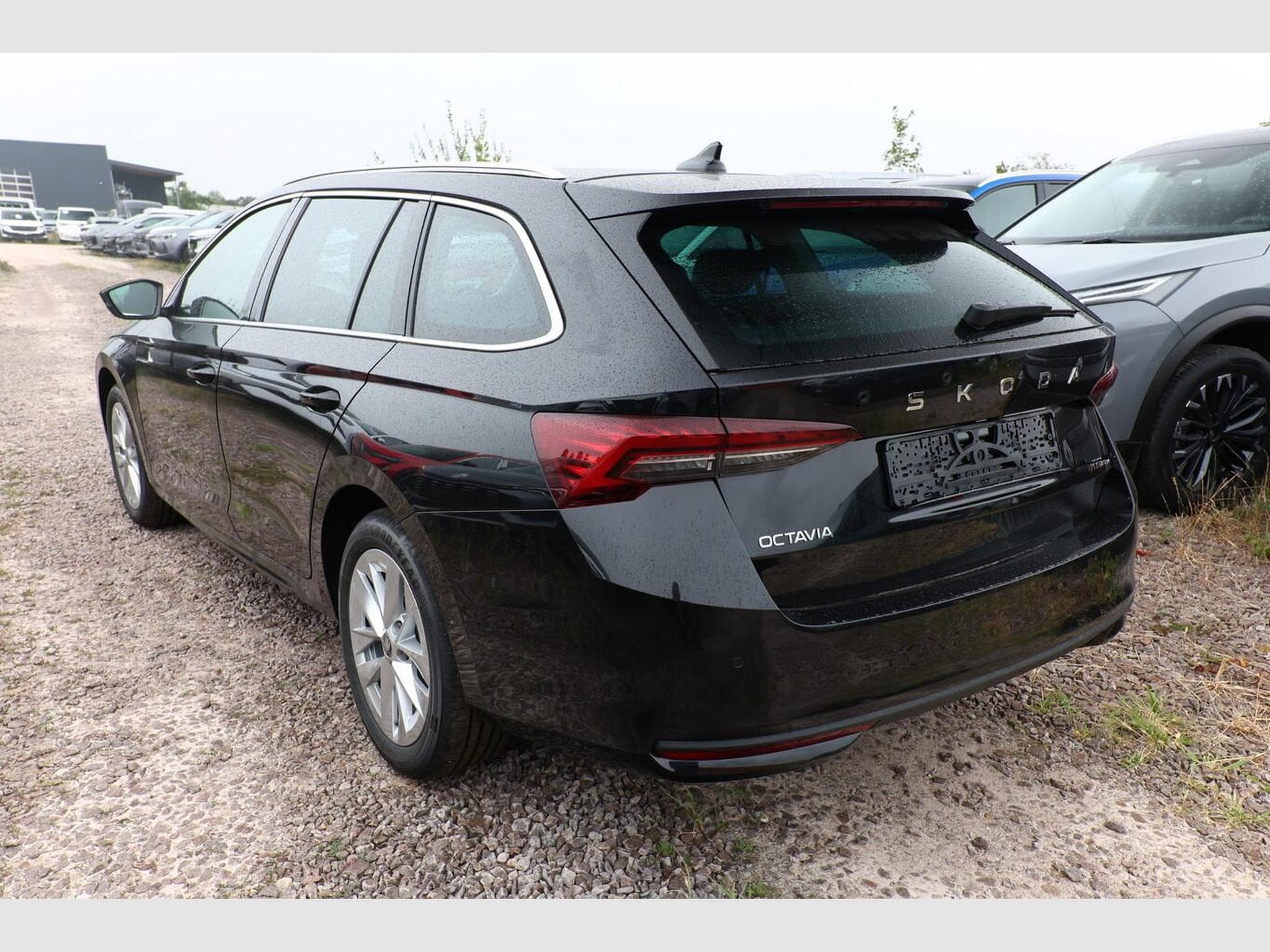 Skoda Octavia Selection (2026) - Photo 4