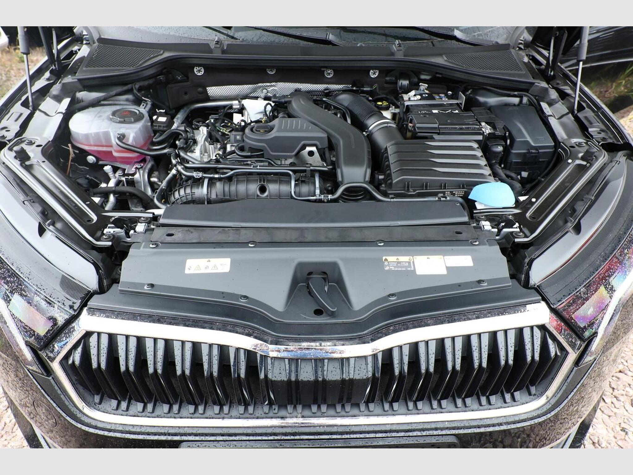 Skoda Octavia Selection (2026) - Photo 12