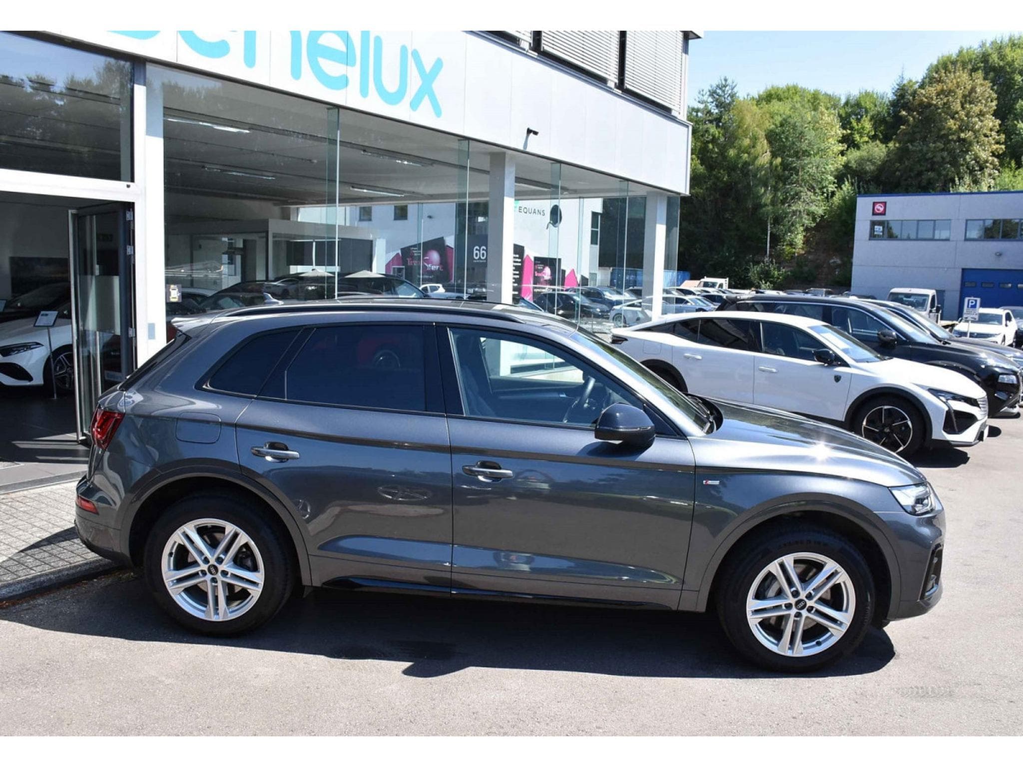 Audi Q5 50 TDI Quattro S-Line Tiptronic CUIR ACC ATT RMQ MATRIX 1° M (2023) - Foto 3