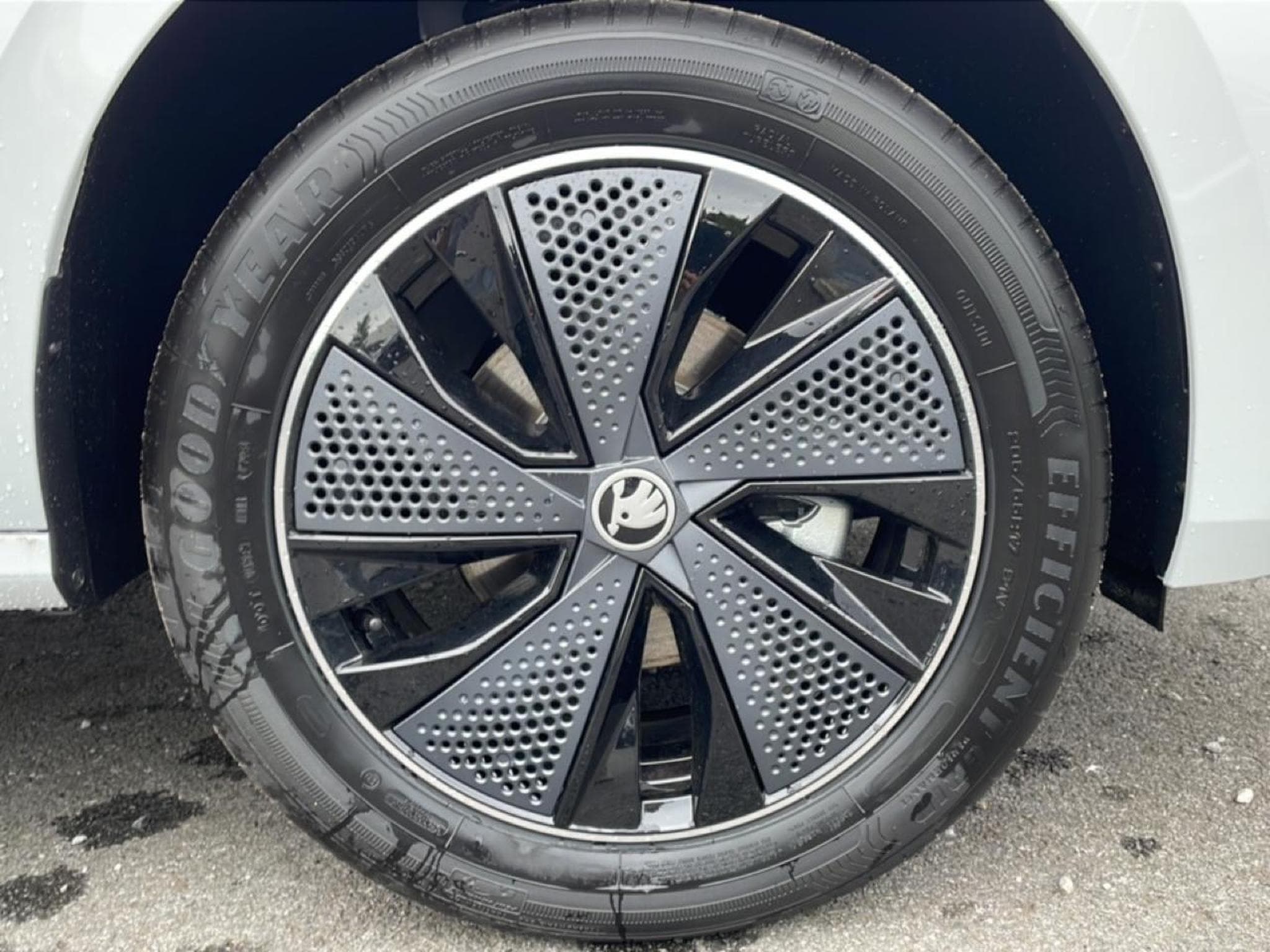 Skoda KAMIQ 1.0 TSI EVO 2 116 MONTE CARLO DSG7 (2026) - Photo 17