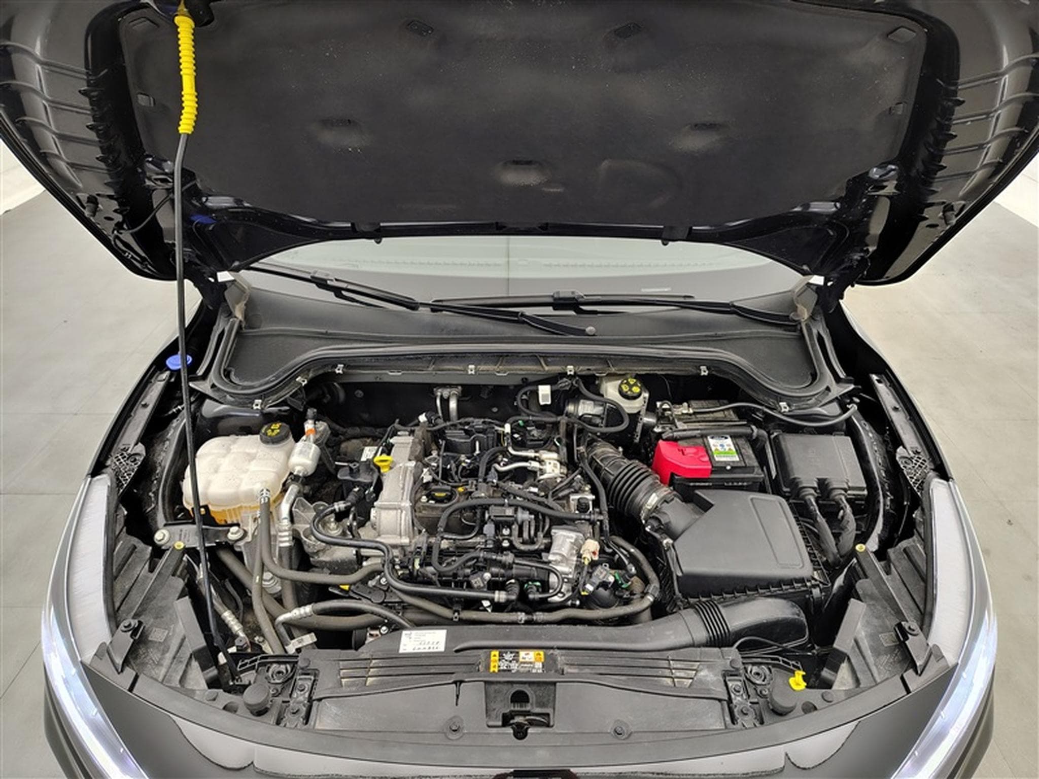 Ford Focus 1.0 EcoBoost 125Cv ST-Line NAVI / FULL LED / CARPLAY (2024) - Photo 19