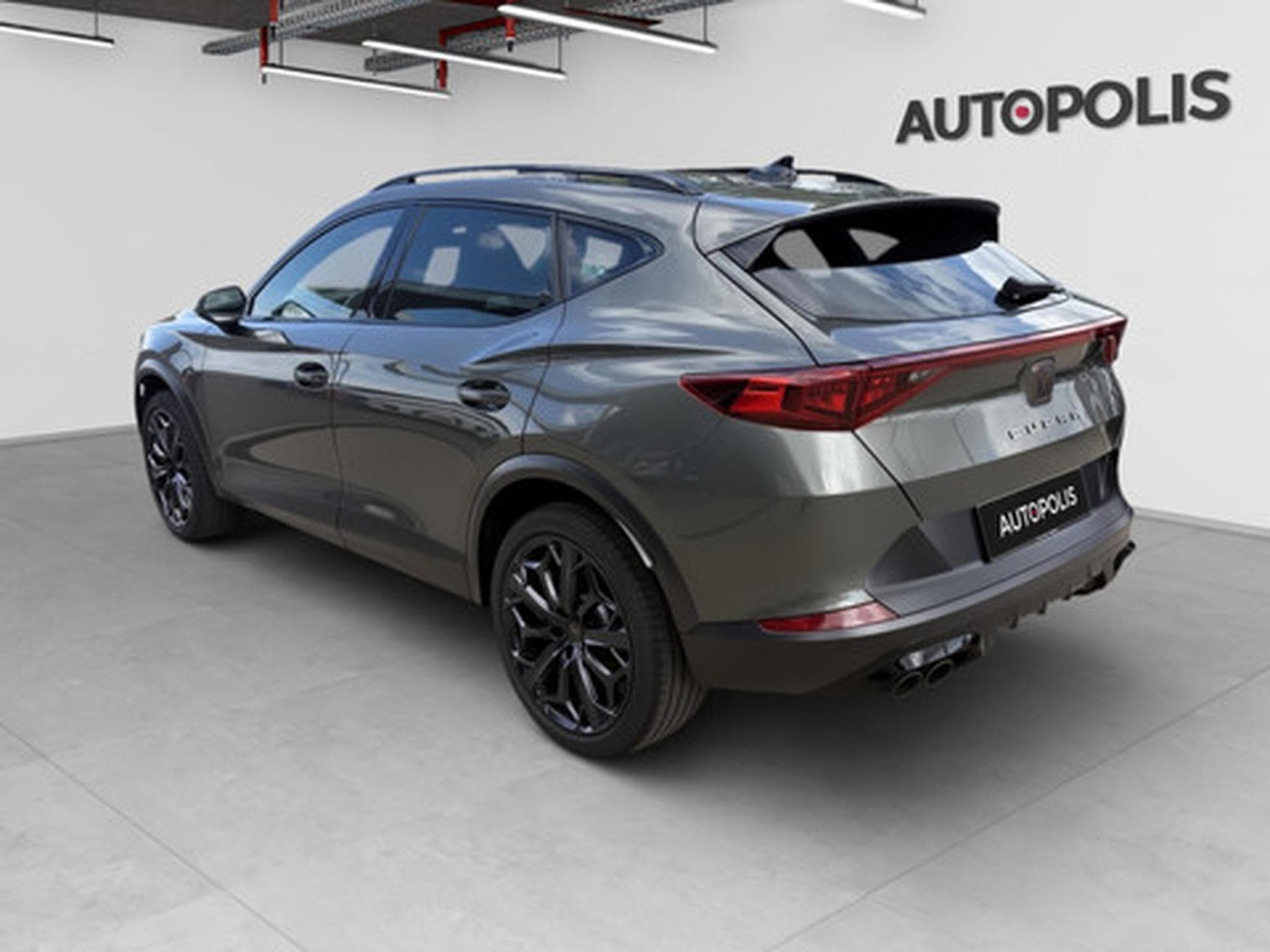 Cupra Formentor 2.0 TSI 4Drive 228kW DSG VZ Tribe Edition (2024) - Foto 13