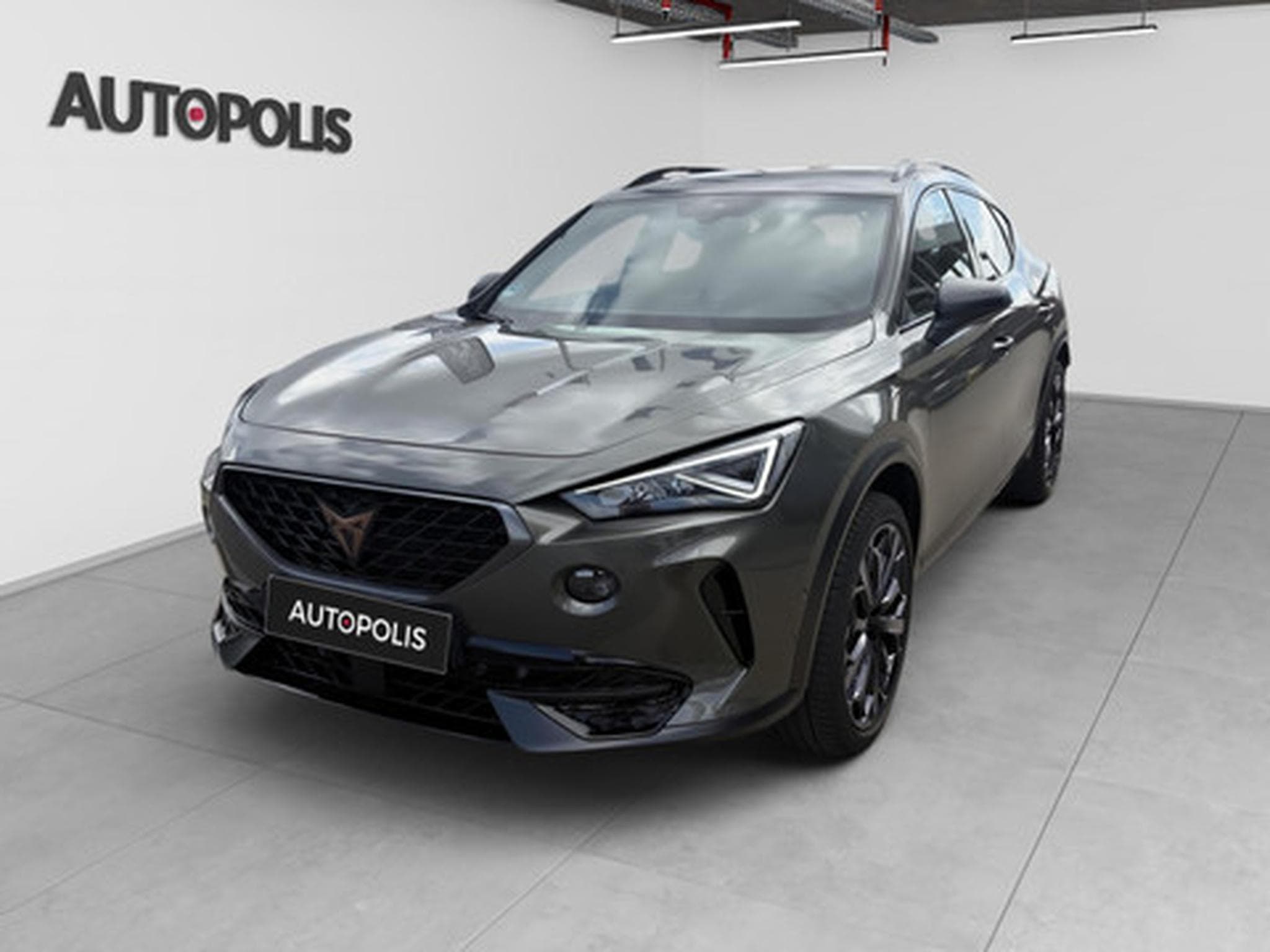 Cupra Formentor 2.0 TSI 4Drive 228kW DSG VZ Tribe Edition (2024) - Foto 18