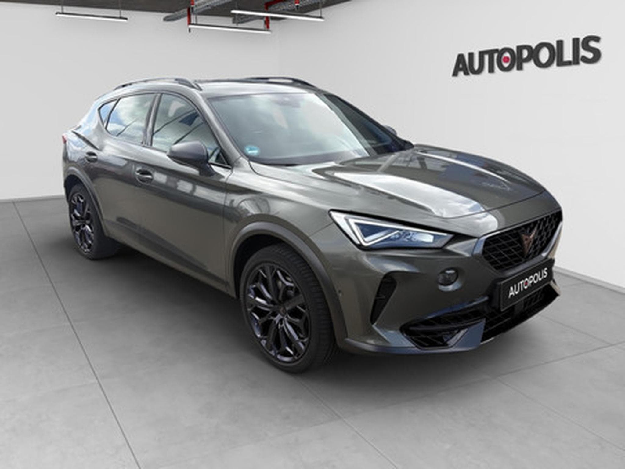 Cupra Formentor 2.0 TSI 4Drive 228kW DSG VZ Tribe Edition (2024) - Foto 17