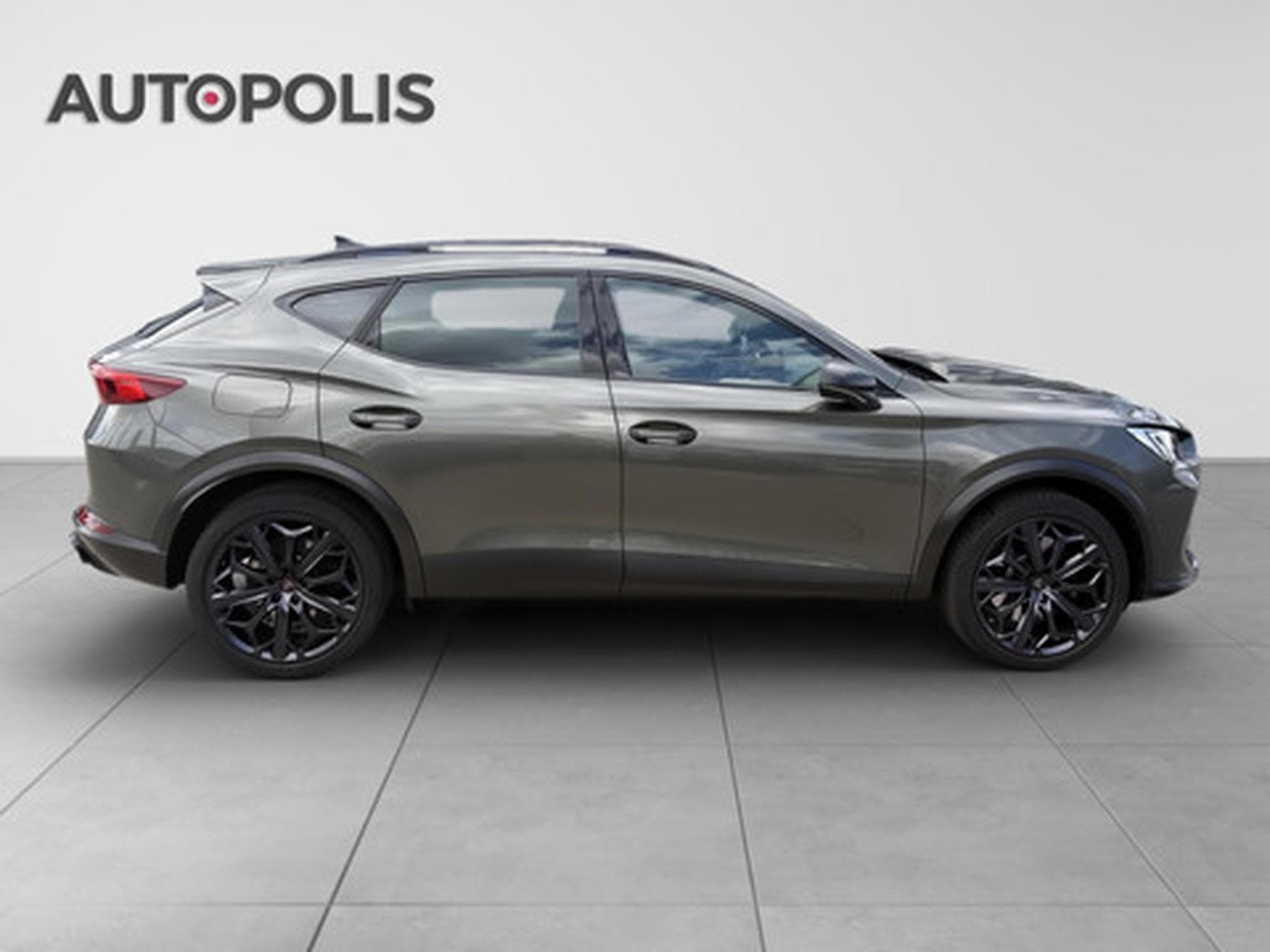 Cupra Formentor 2.0 TSI 4Drive 228kW DSG VZ Tribe Edition (2024) - Foto 16