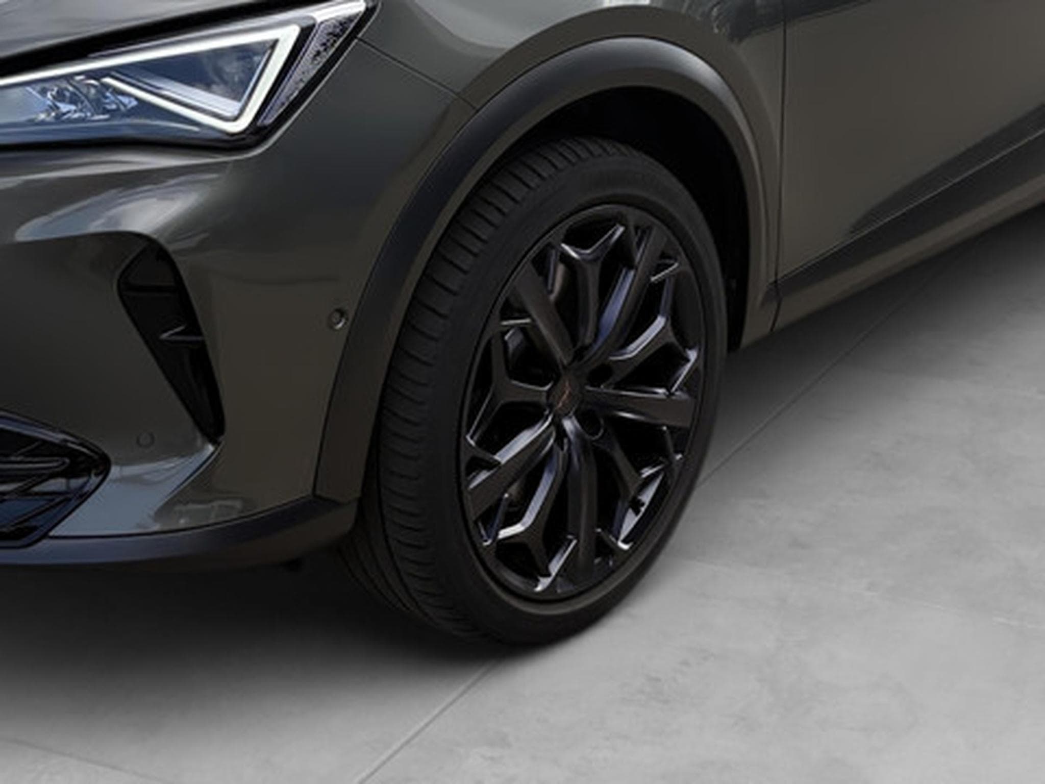 Cupra Formentor 2.0 TSI 4Drive 228kW DSG VZ Tribe Edition (2024) - Foto 20