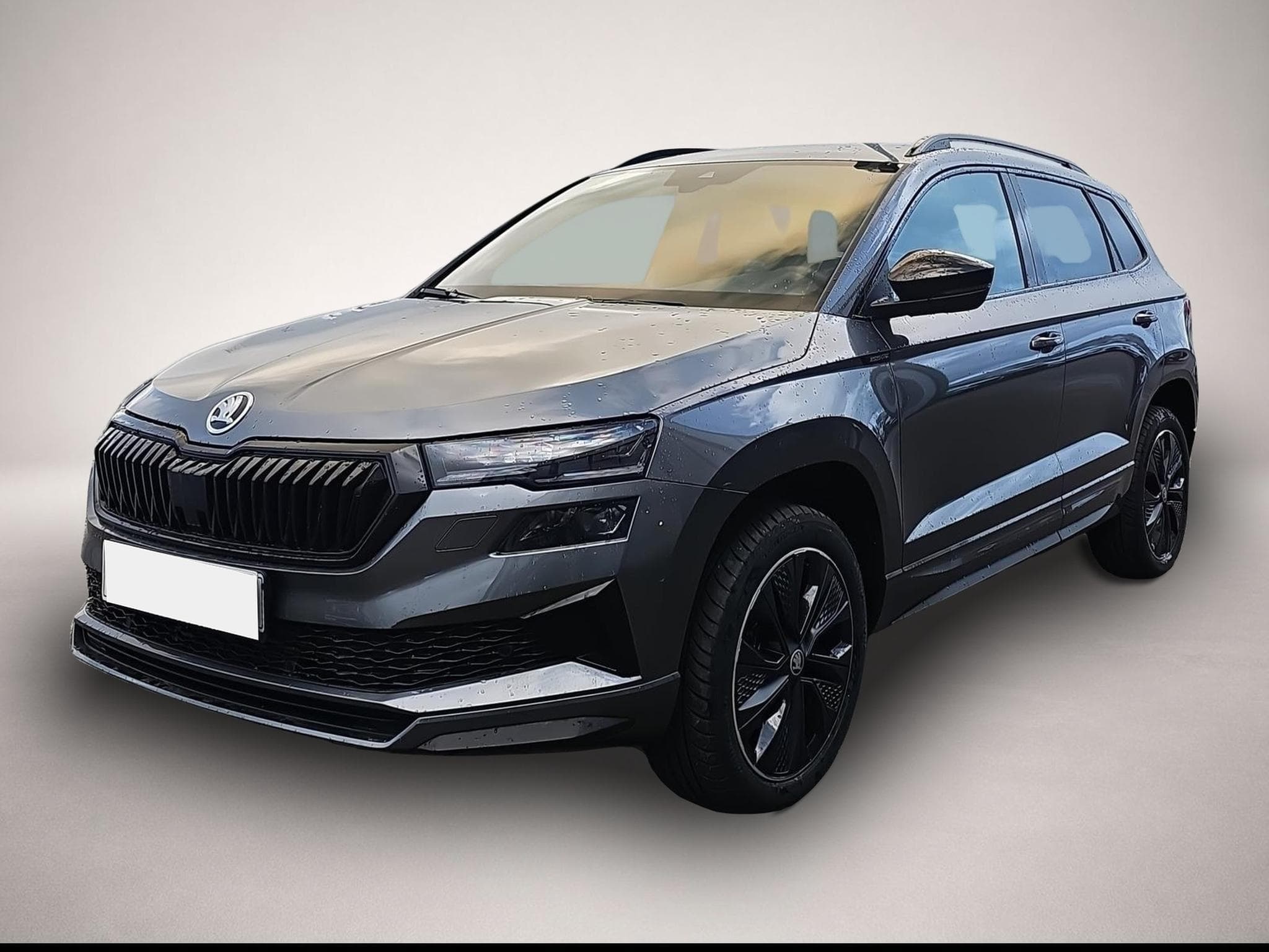Skoda Karoq (2026) - Photo 3