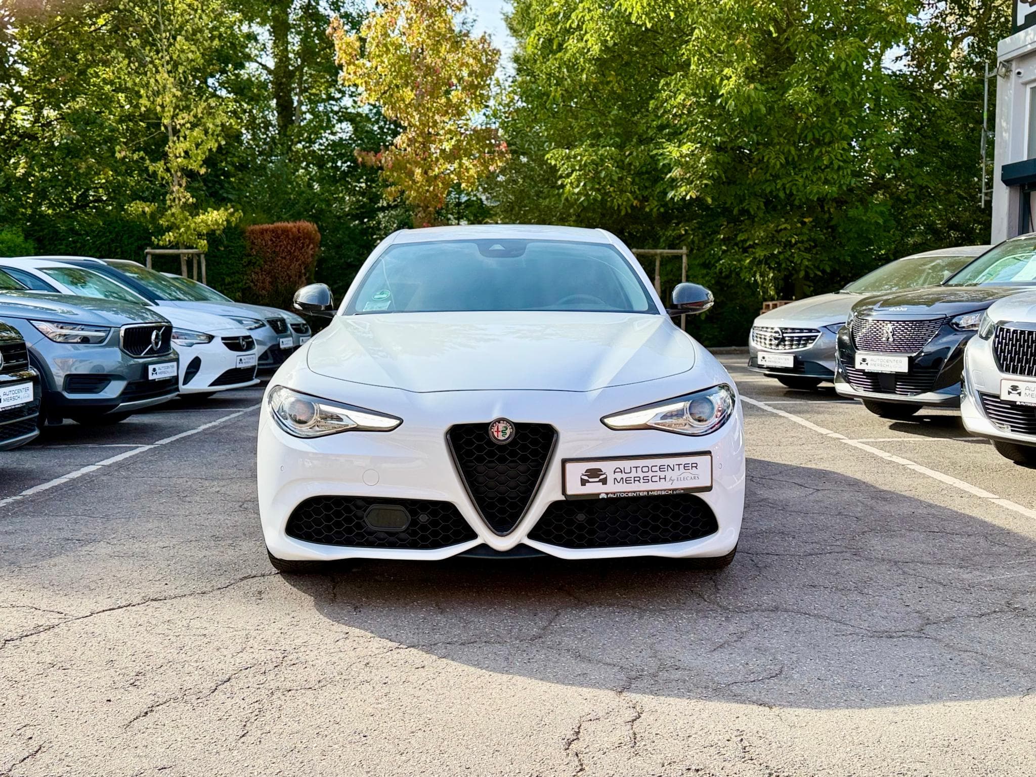 Alfa-Romeo Giulia 2.0 Turbo 280 AT Q4 Veloce (2019) - Foto 2