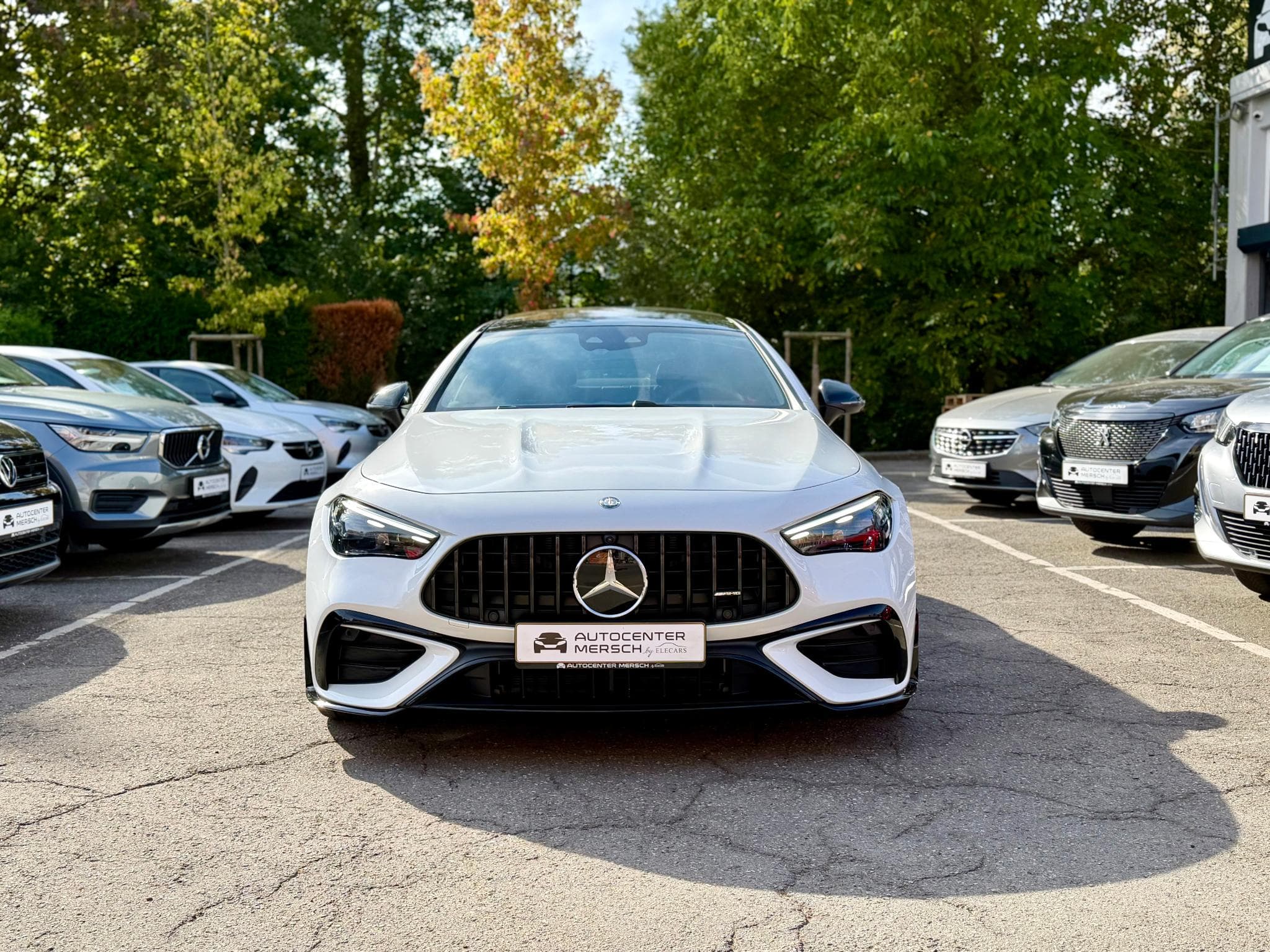Mercedes CLE 53 AMG 4Matic+ Premium Pano/Burmester/Sièg.perf (2026) - Foto 2