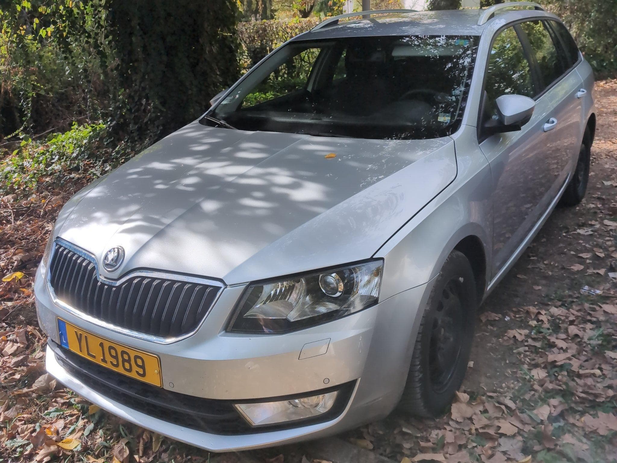 Skoda Octavia Octavia III 4x4 (2013) - Photo 1