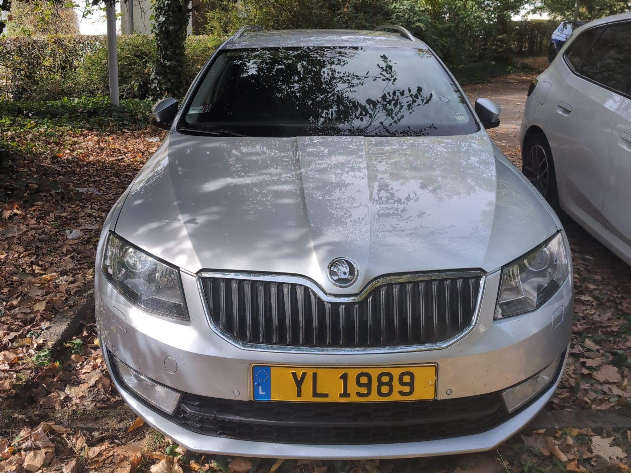 Skoda Octavia Octavia III 4x4 (2013) - Photo 2