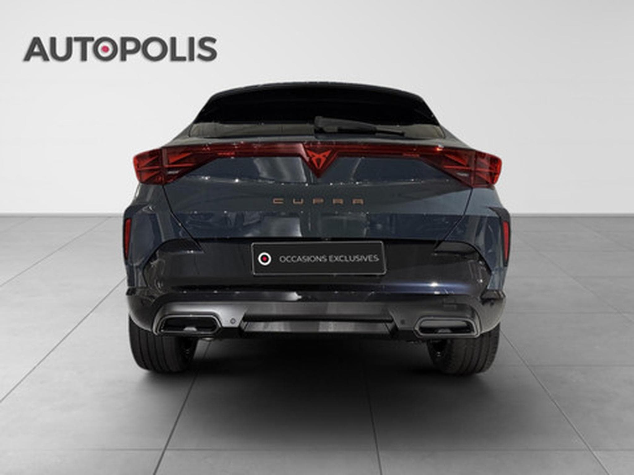 Cupra Formentor 1.5 TSI 110kW DSG Tribe Edition (2026) - Foto 15