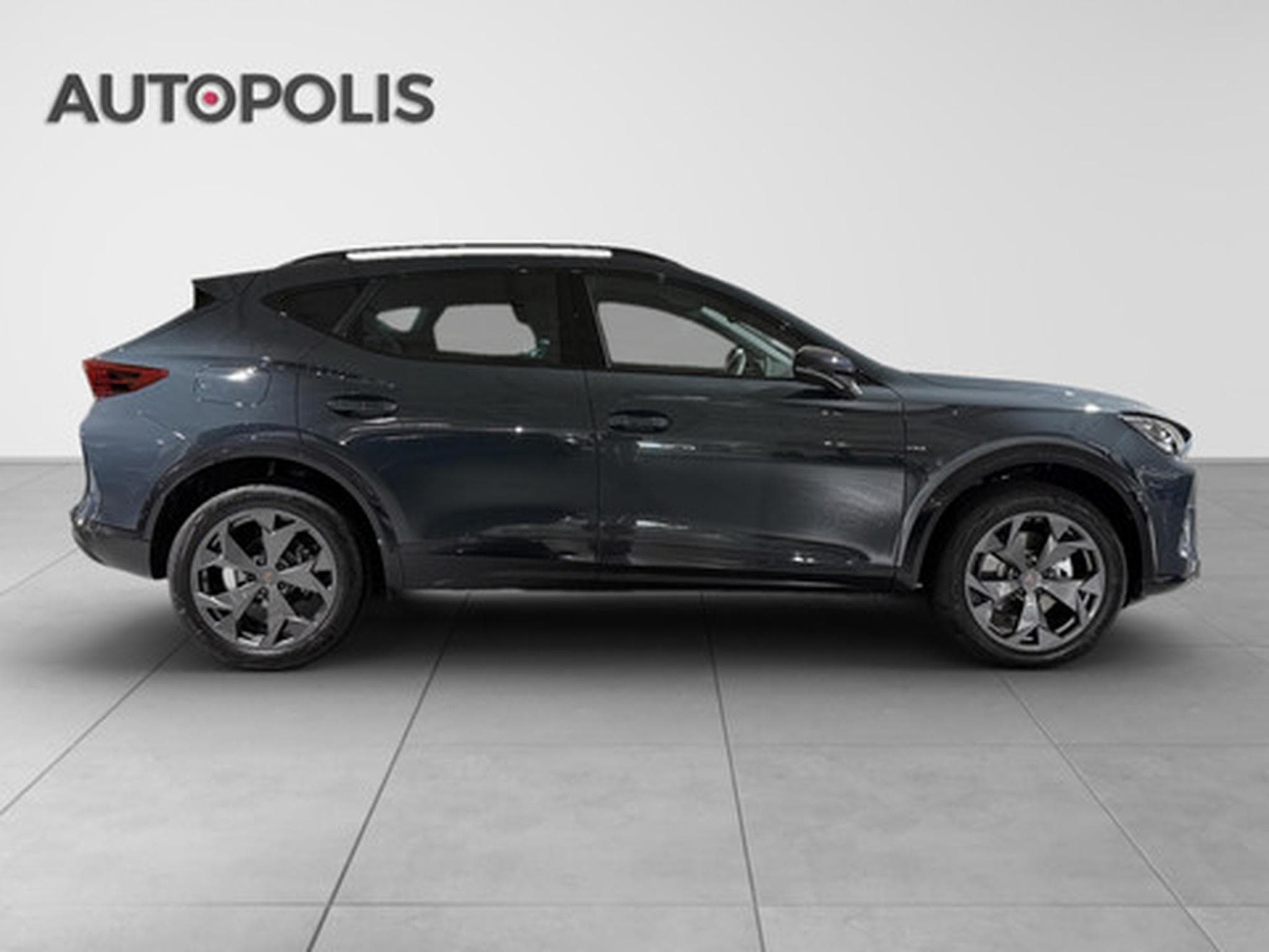 Cupra Formentor 1.5 TSI 110kW DSG Tribe Edition (2026) - Foto 16