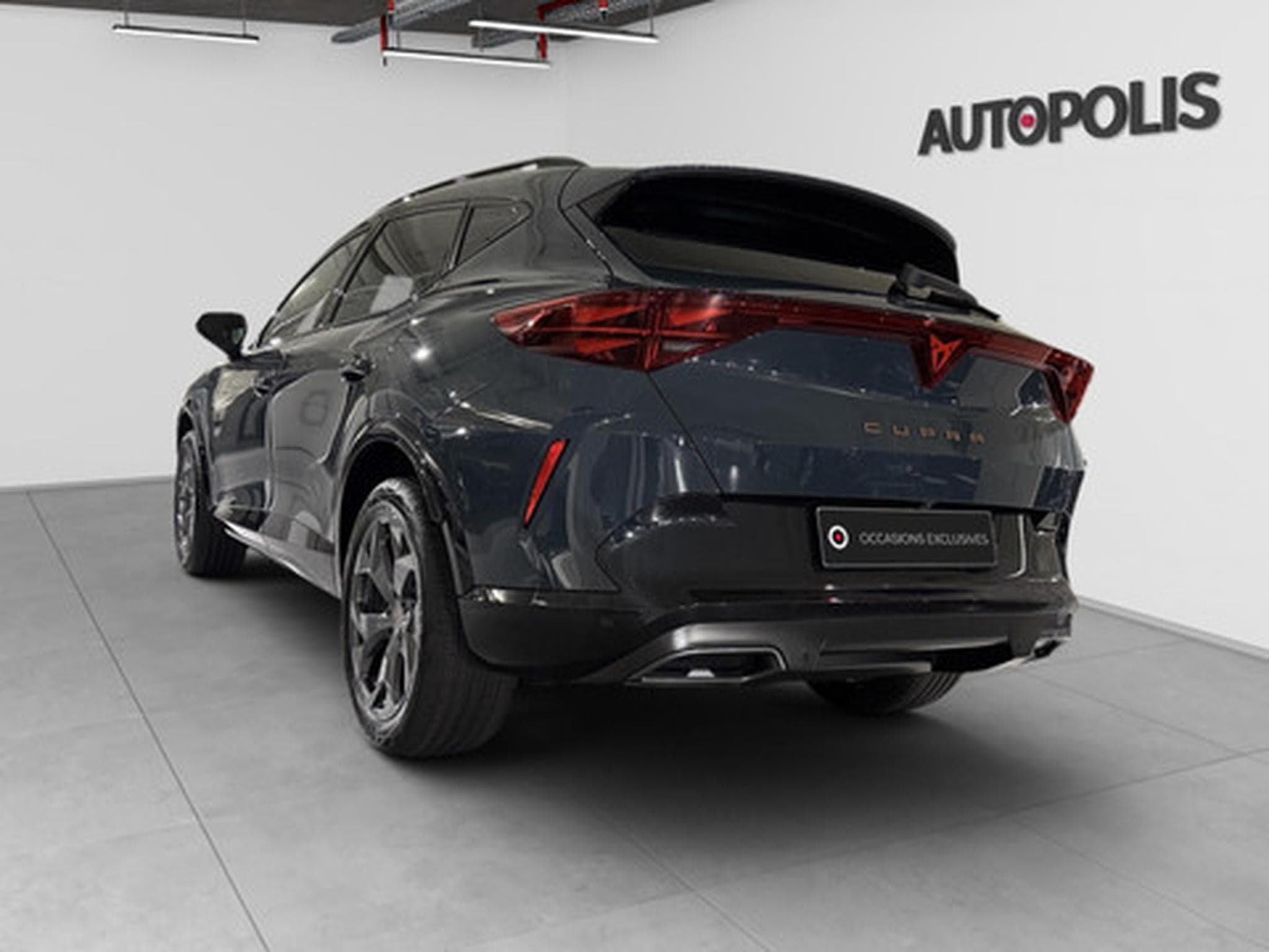 Cupra Formentor 1.5 TSI 110kW DSG Tribe Edition (2026) - Foto 18