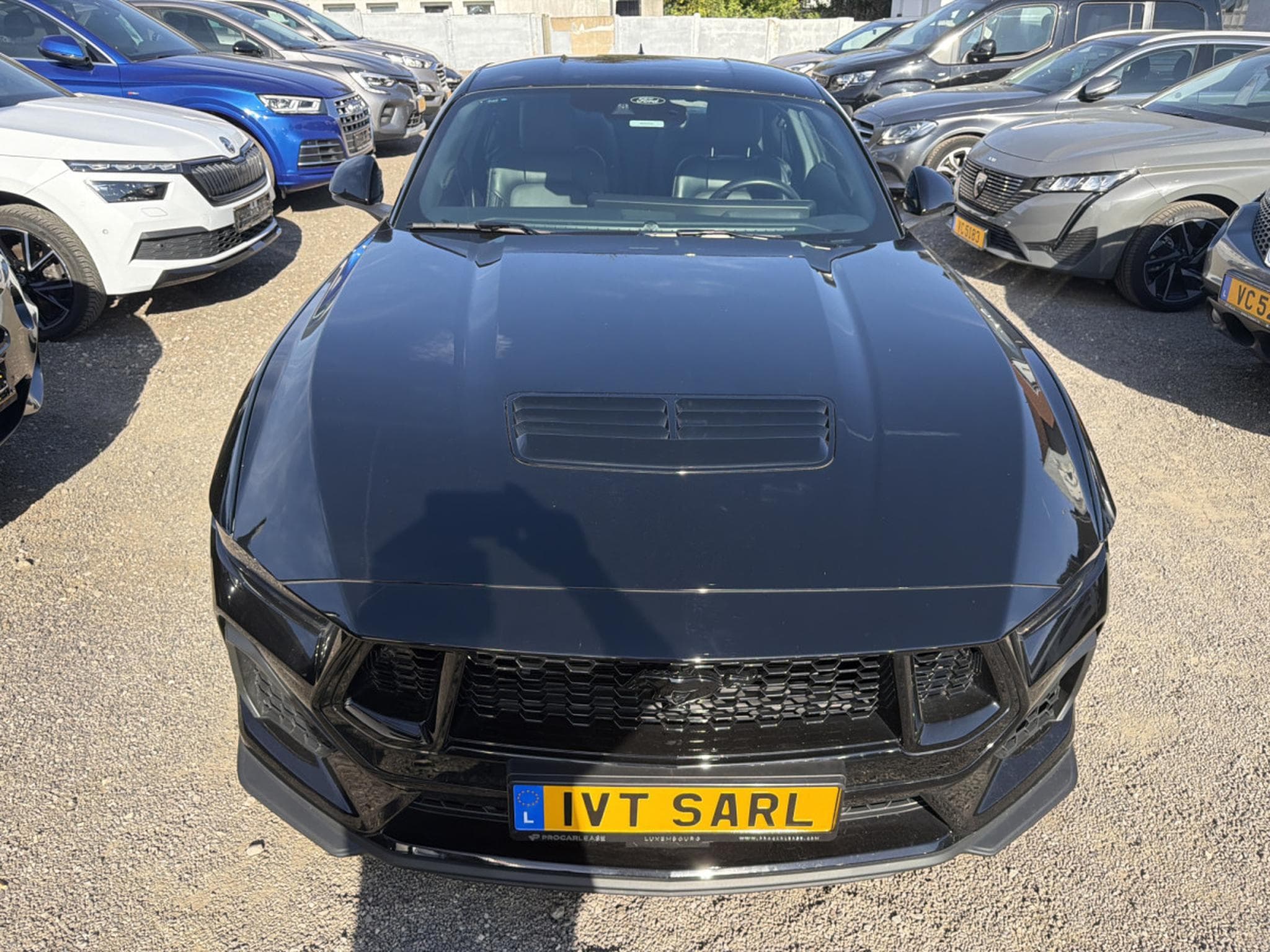 Ford Mustang 5.0 FASTBACK V8 GT MAGNERIDE 446CV (2025) - Photo 2