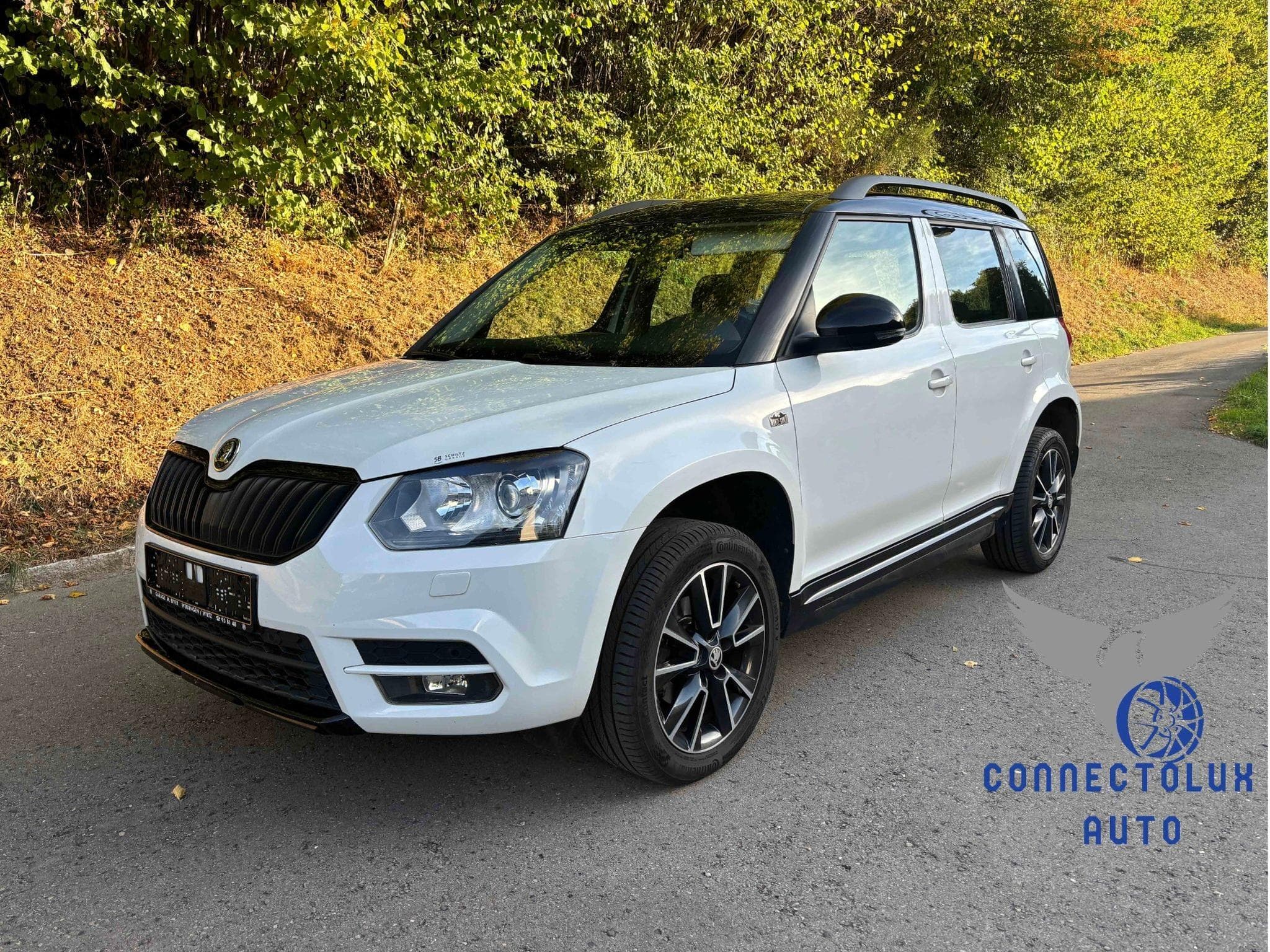 Skoda Yeti Monte Carlo 1.4 Tsi DSG 125cv (2015) - Photo 1