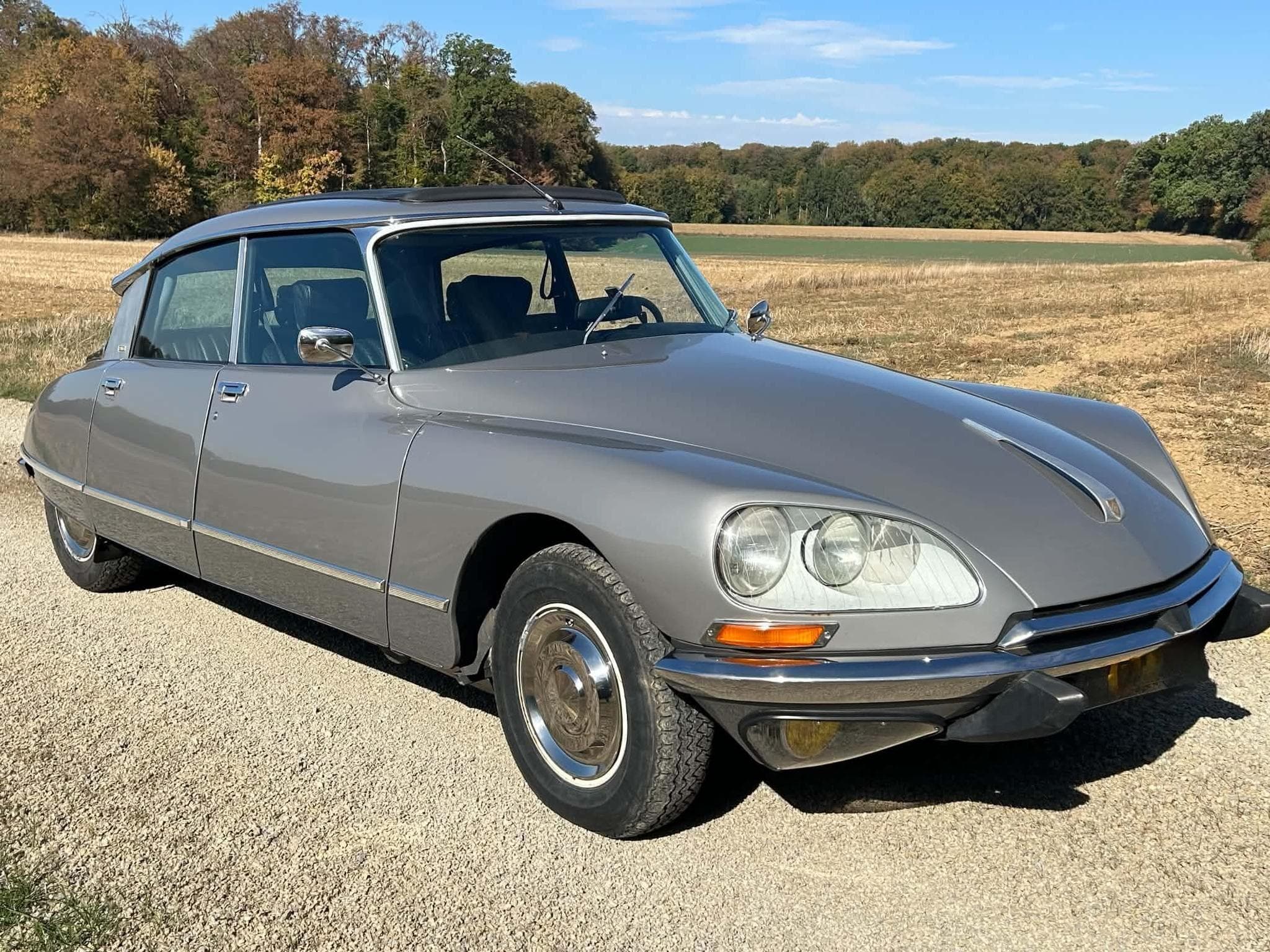 Citroën DS DS 23 Pallas à injection électronique (1974) - Photo 1