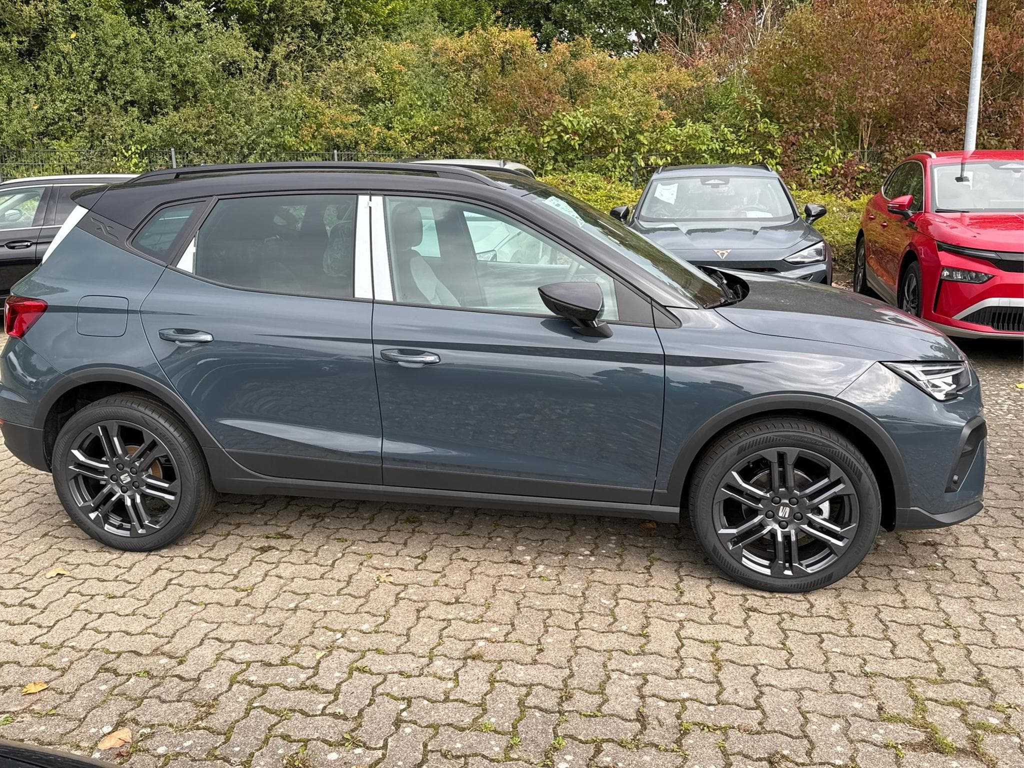 Seat Arona FR (2026) - Foto 6