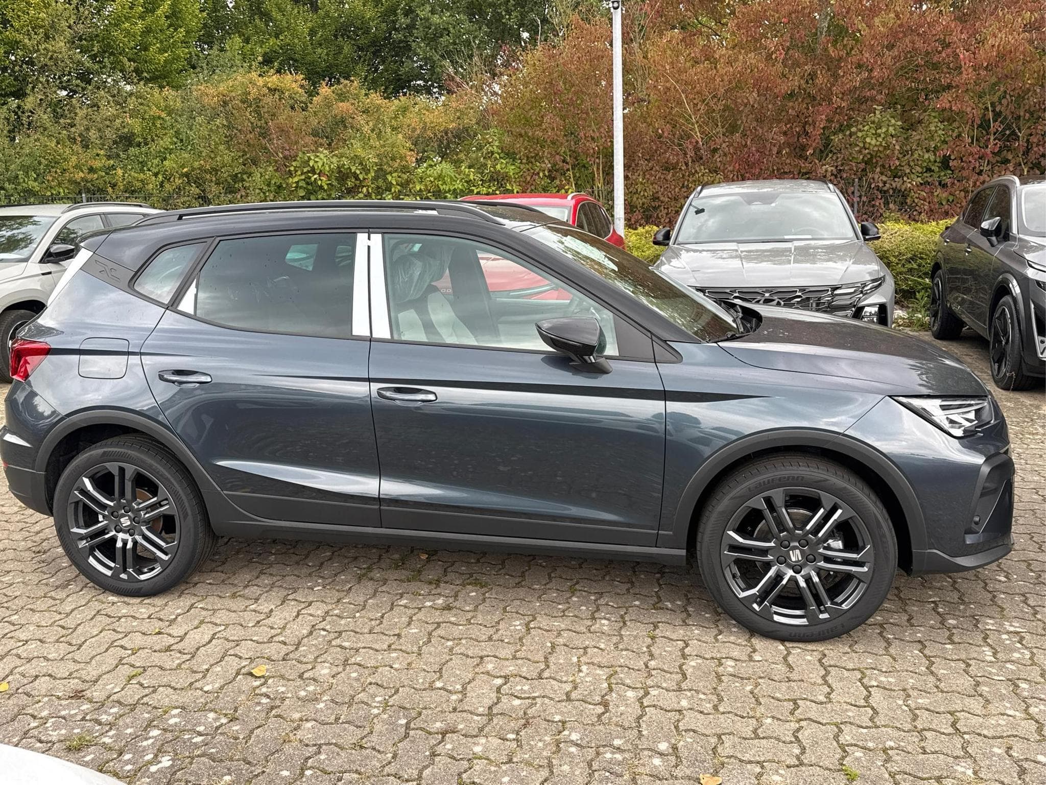 Seat Arona FR (2026) - Foto 6