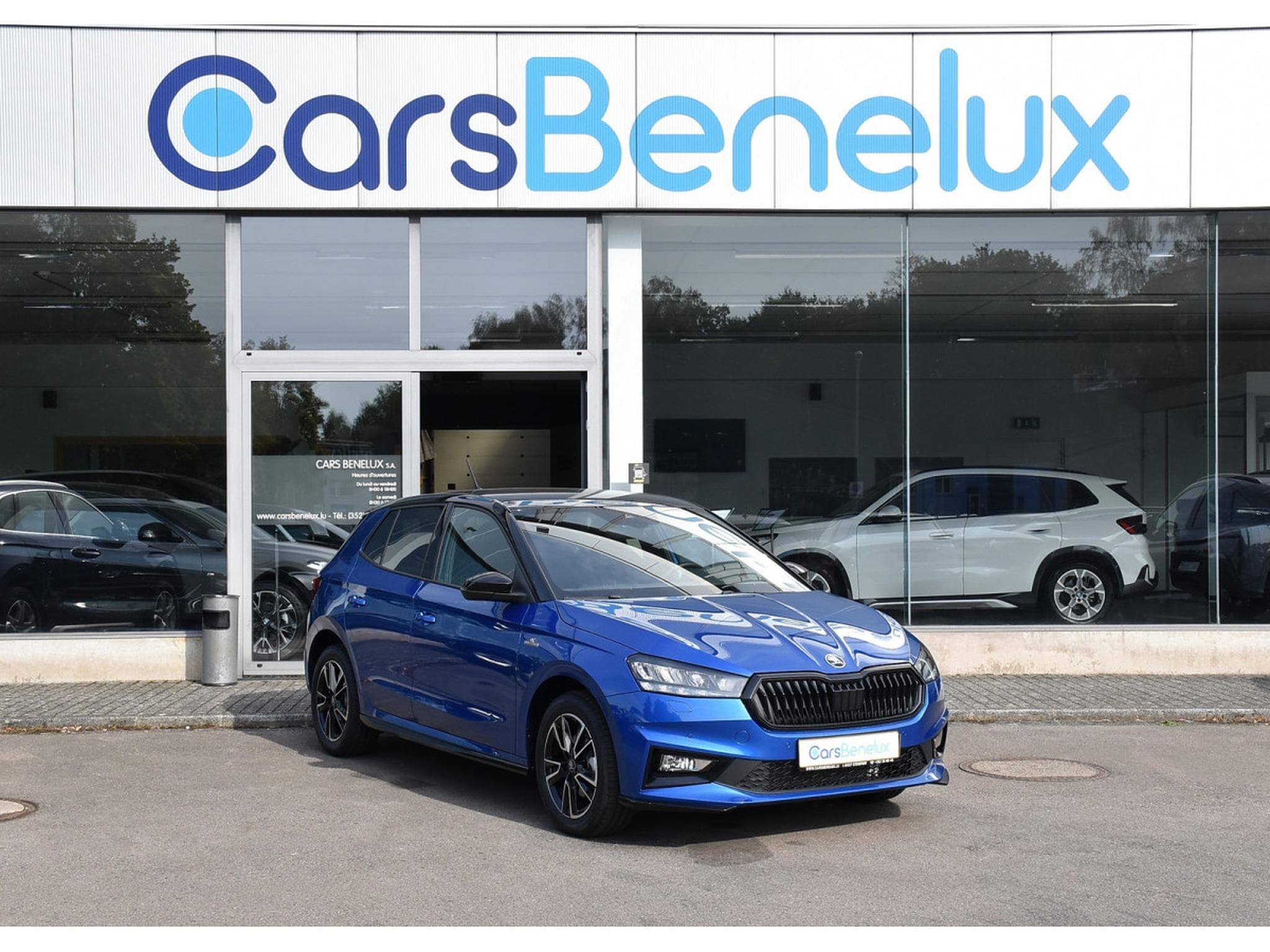Skoda Fabia 1.0 TSI Monte Carlo DSG ACC TRAVEL CAM KESSY NEUVE (2026) - Foto 1