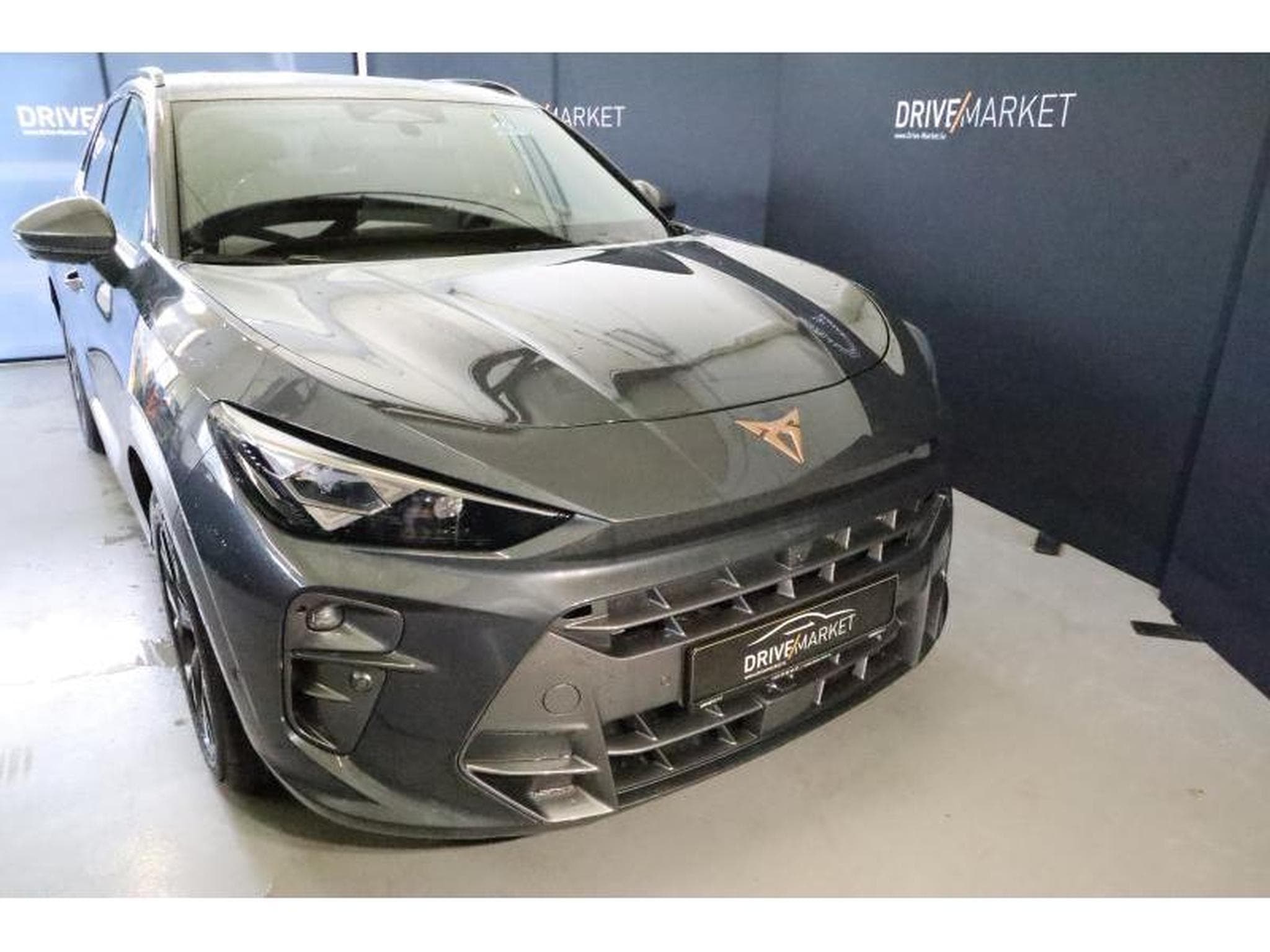 Cupra Terramar (2025) - Photo 13