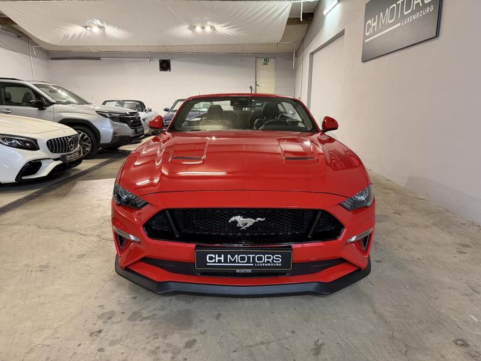 Ford Mustang 5.0 V8 GT CABRIO *EUROPA MODEL COC (2021) - Photo 2