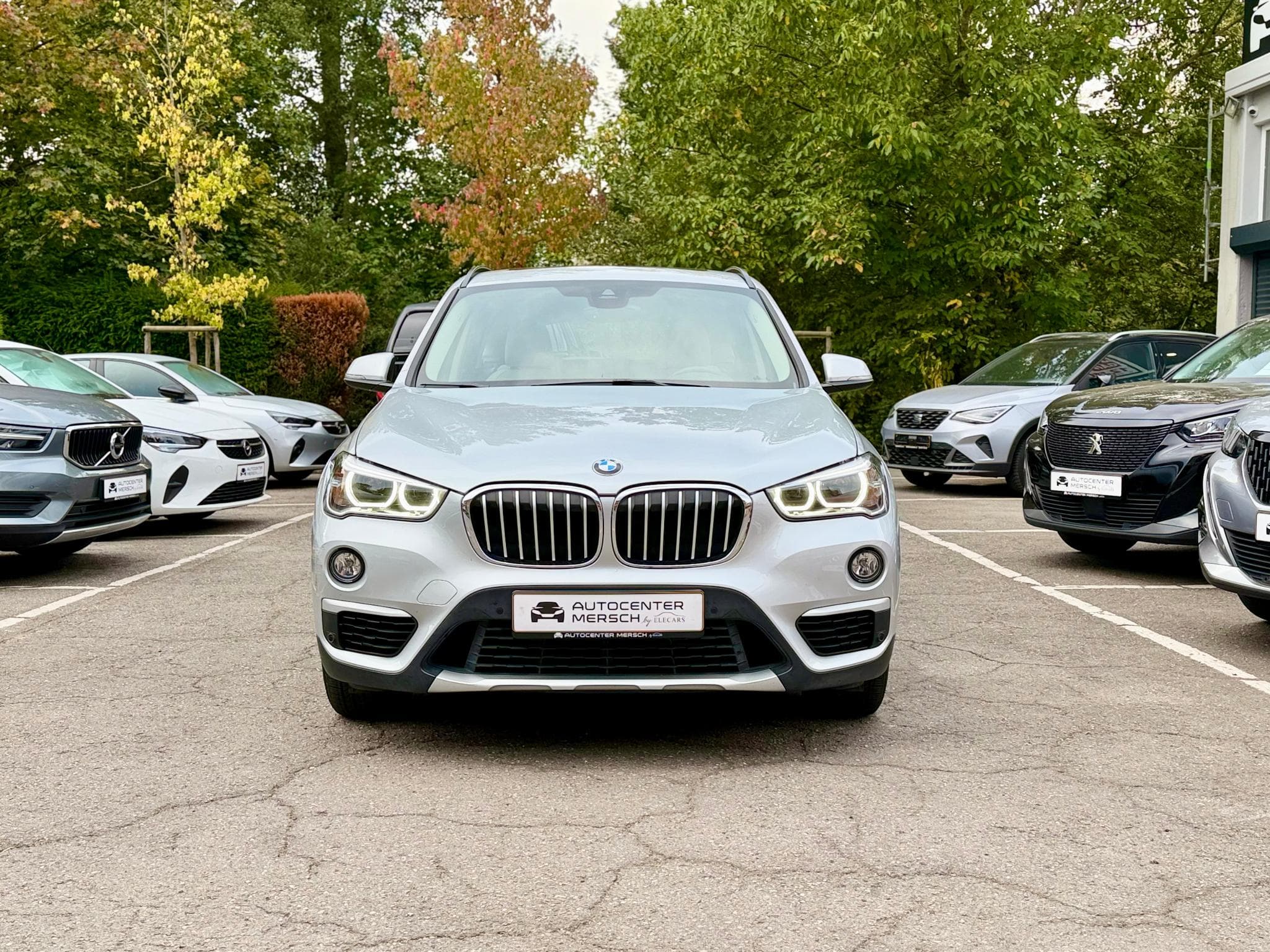 BMW X1 xDrive25d 231 Steptronic X-Line (2016) - Photo 2