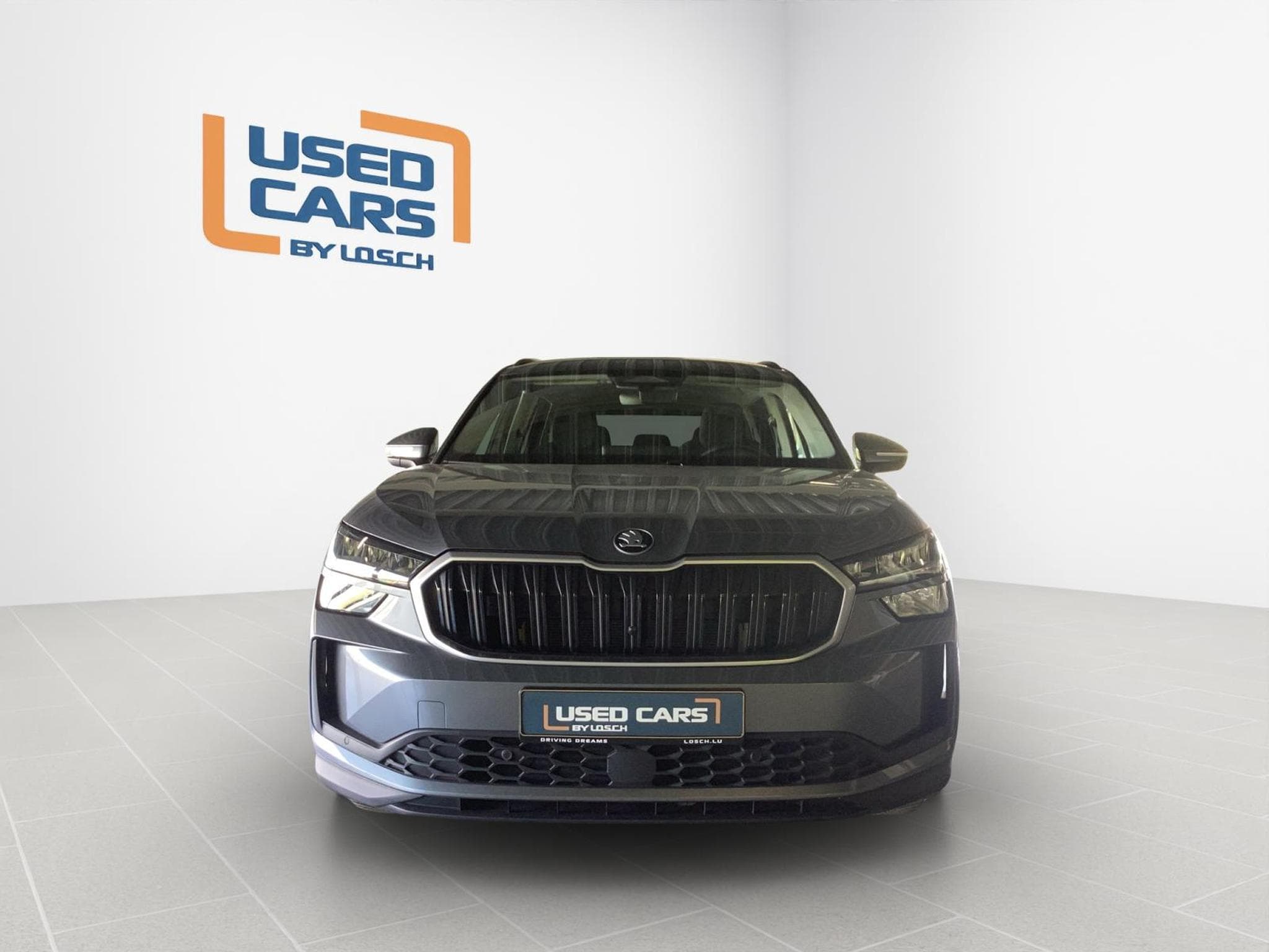 Skoda Kodiaq Selection+DSG+Led+Navi+DAB+Rear-View (2025) - Foto 3