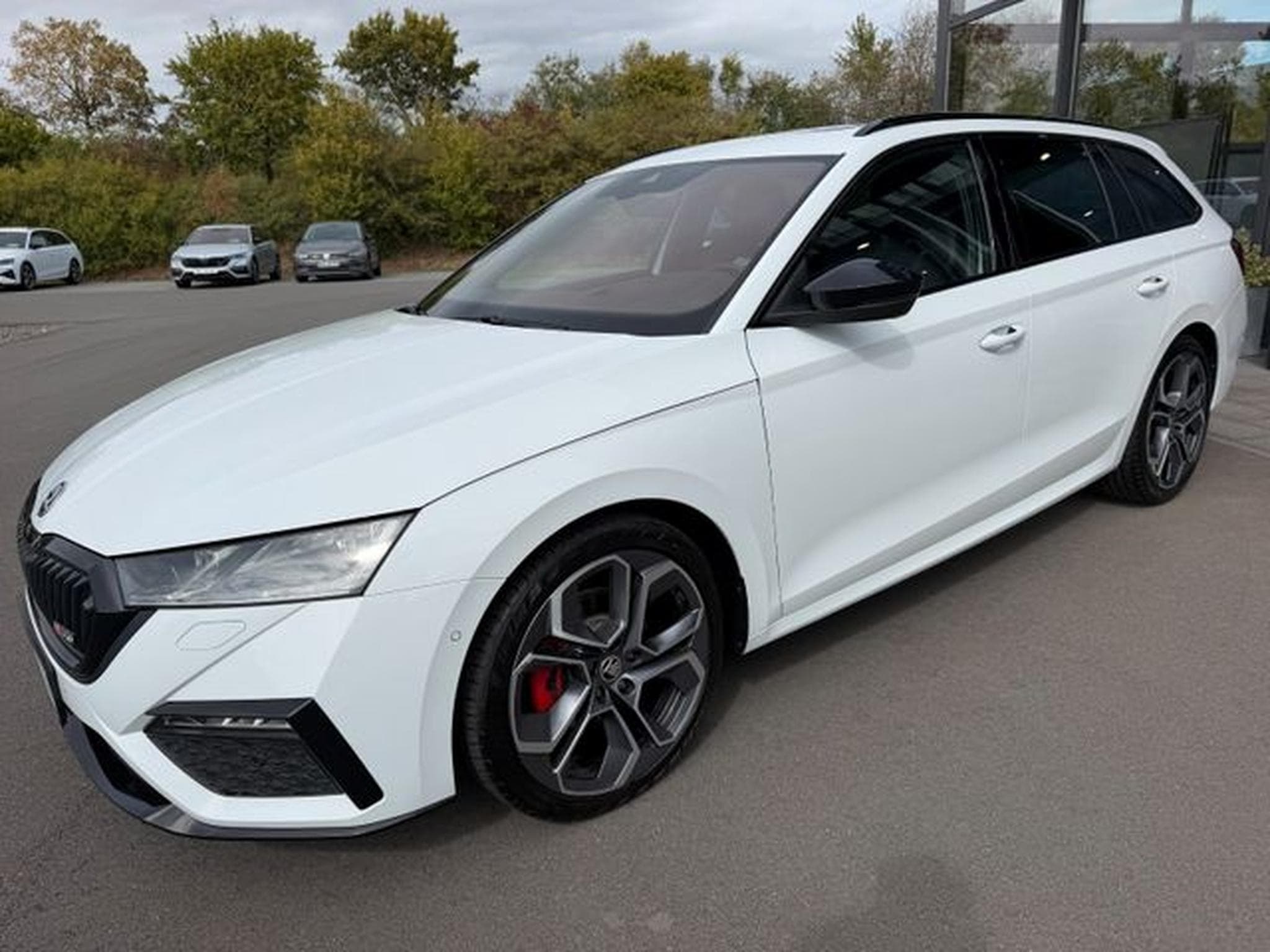 Skoda Octavia Octavia Kombi 2,0TDi RS 4x4 19"Pano HUD Leder DC (2023) - Foto 1